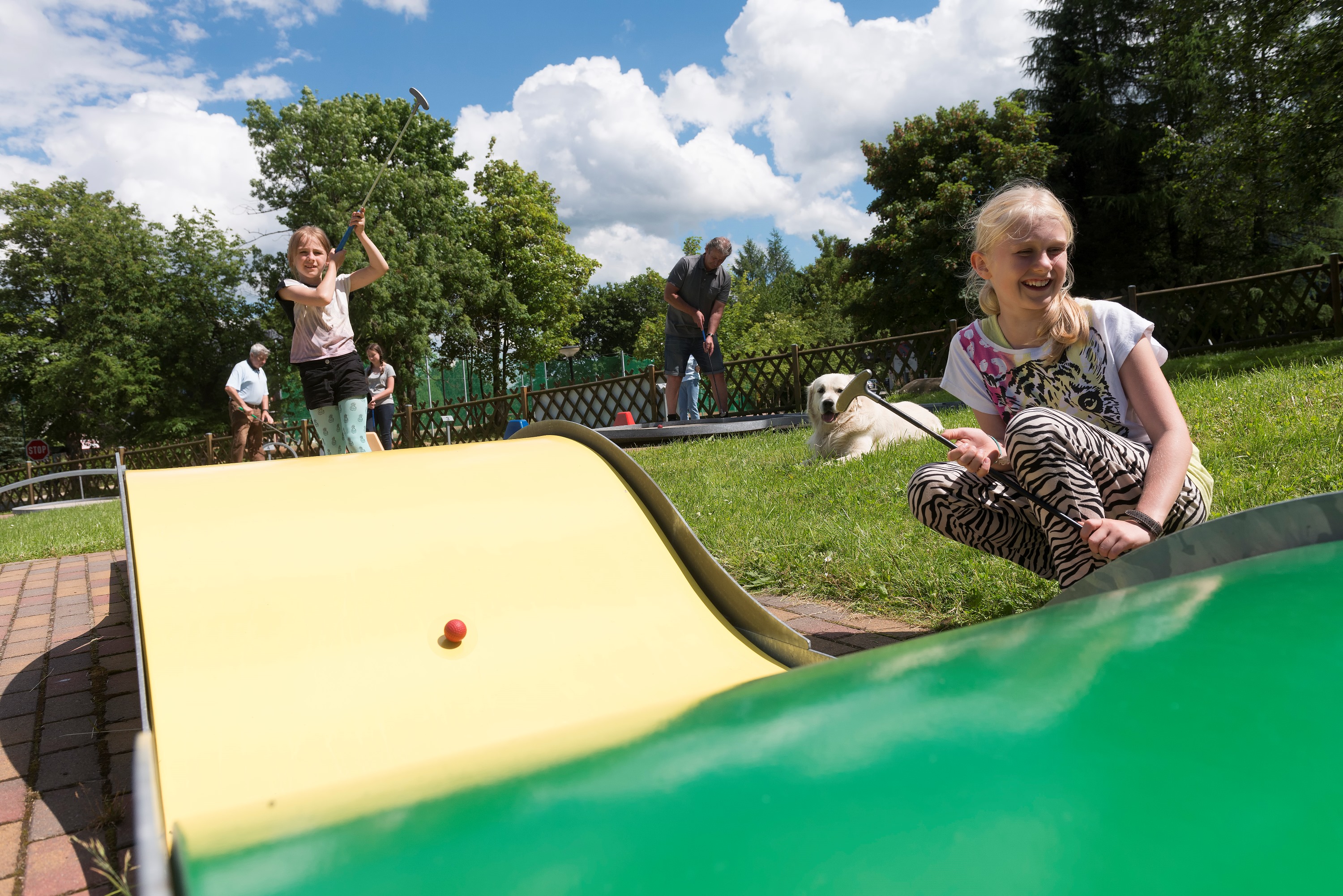 Sports and Entertainment