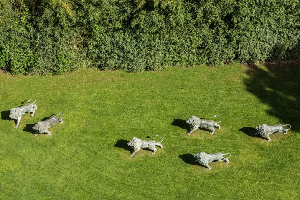 Double Premium King Bed