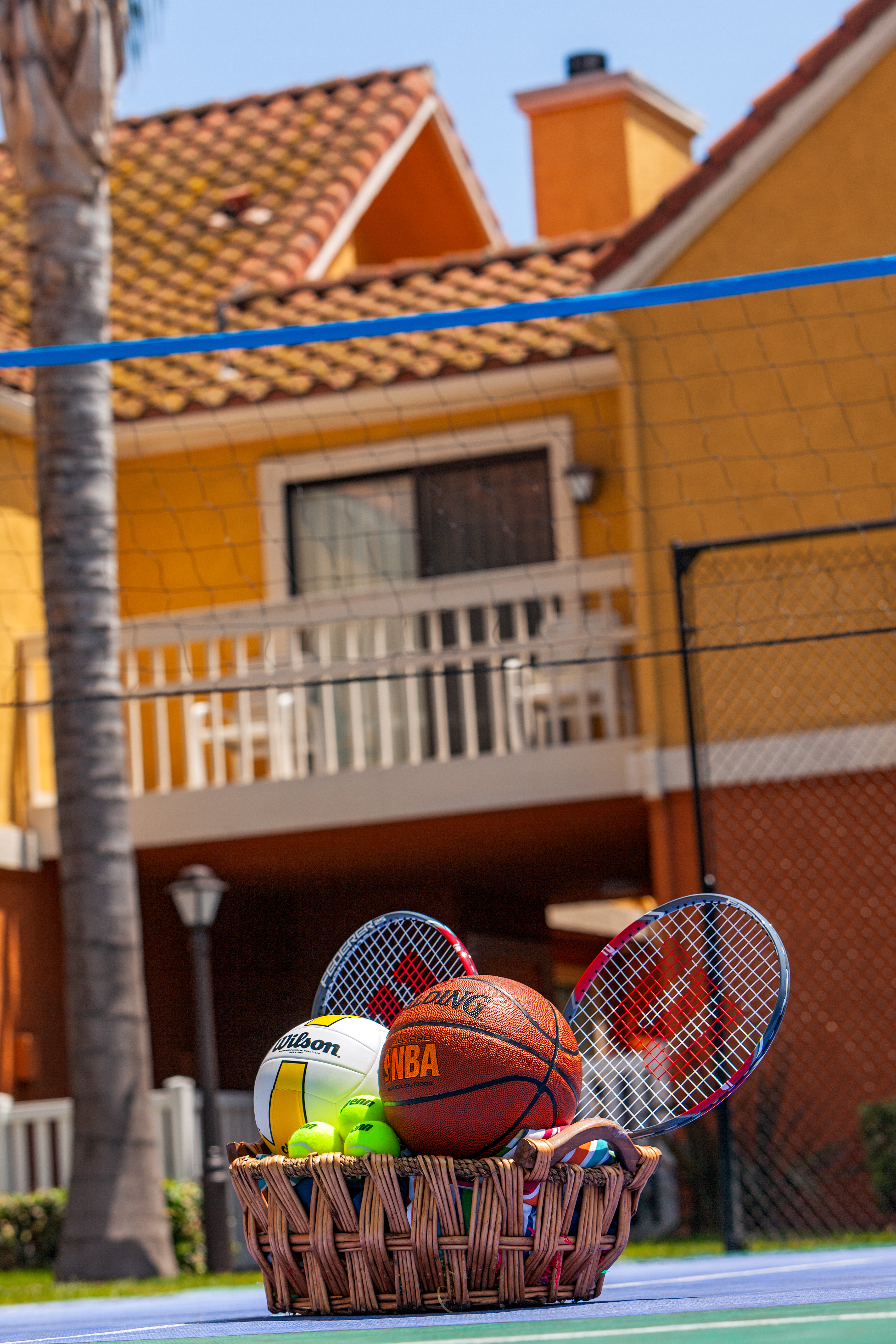 Sports and Entertainment