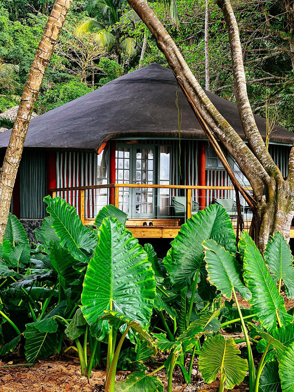 Bungalow Garden View