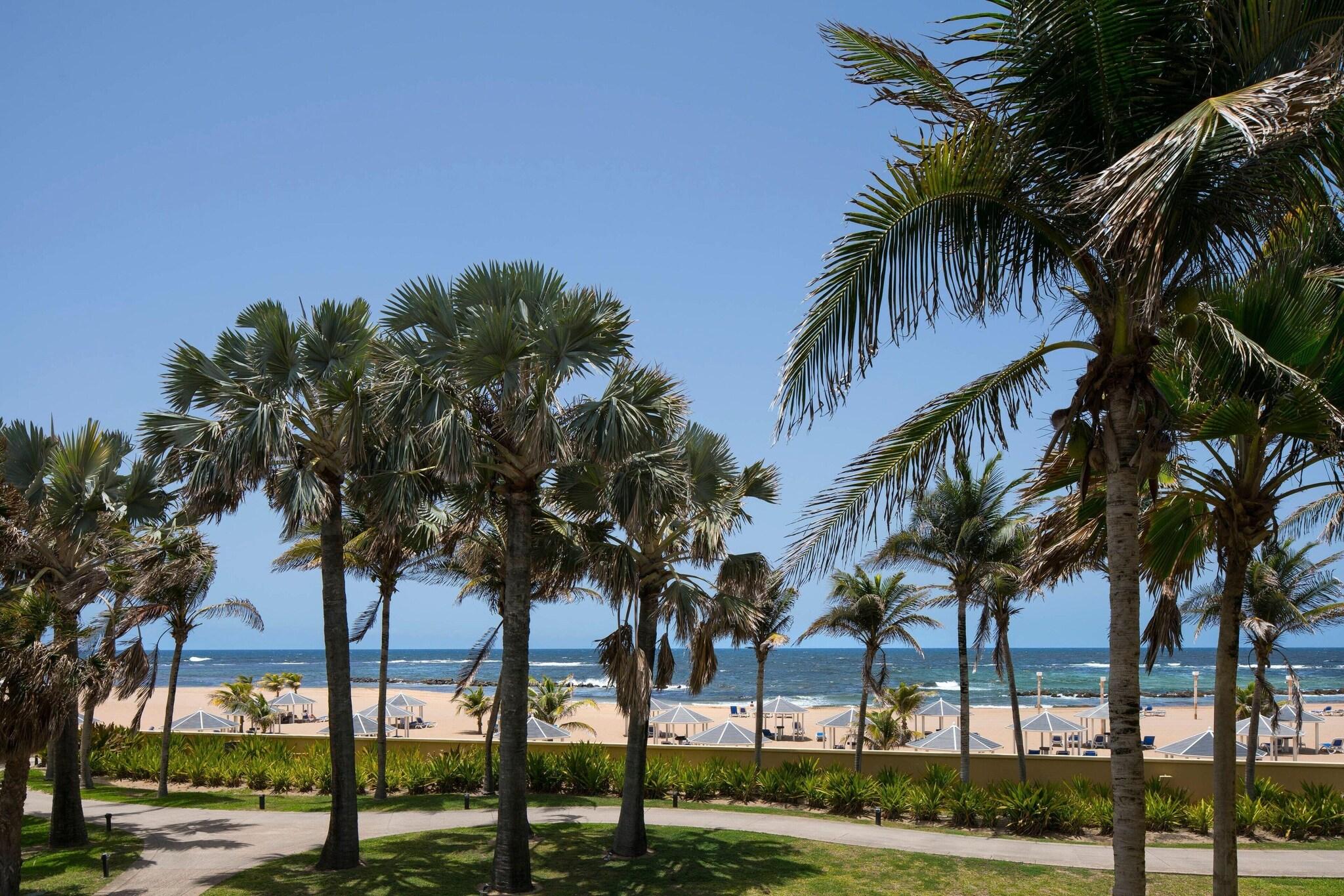 Suite Ocean View King Bed