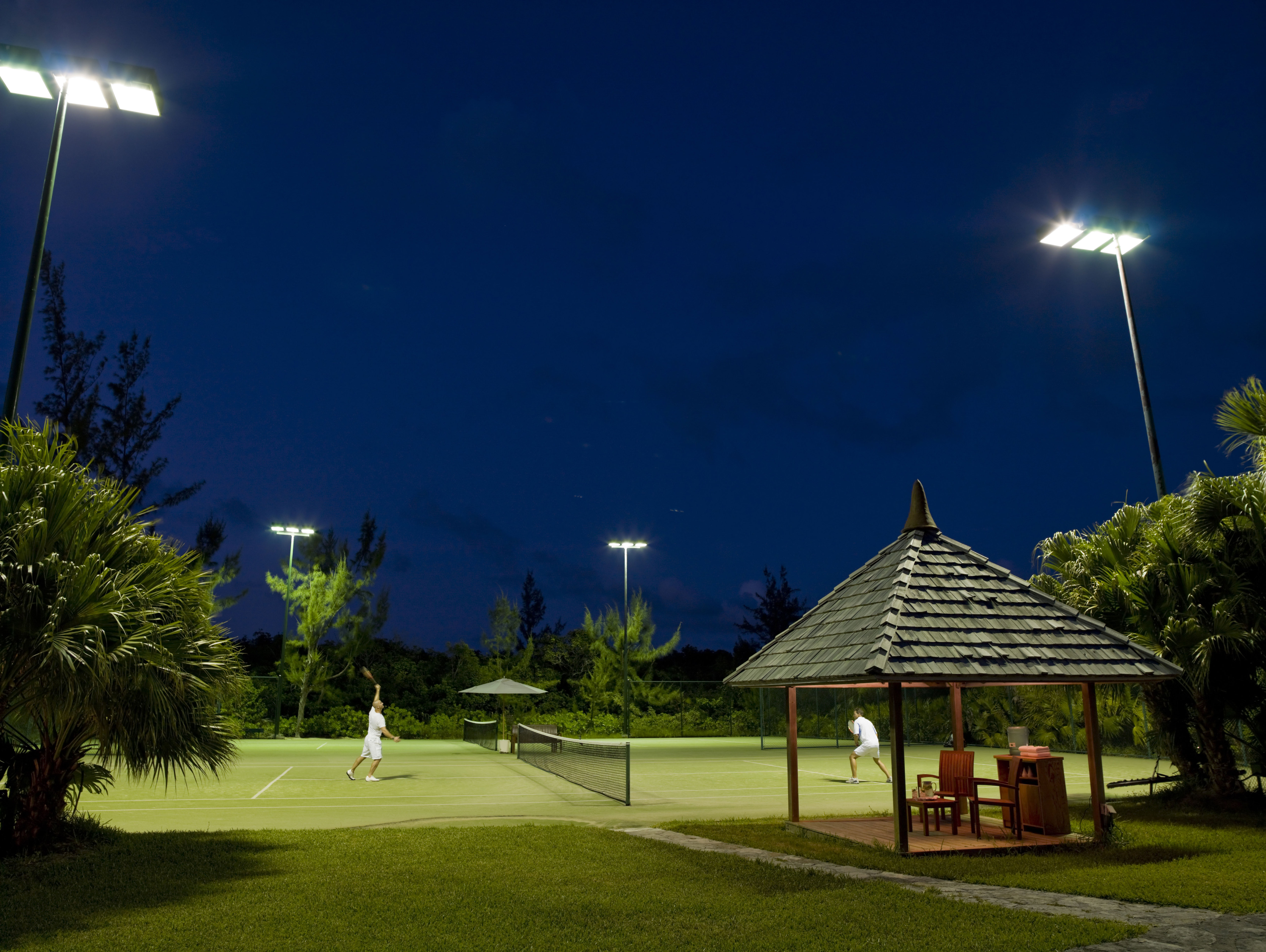 Sports and Entertainment