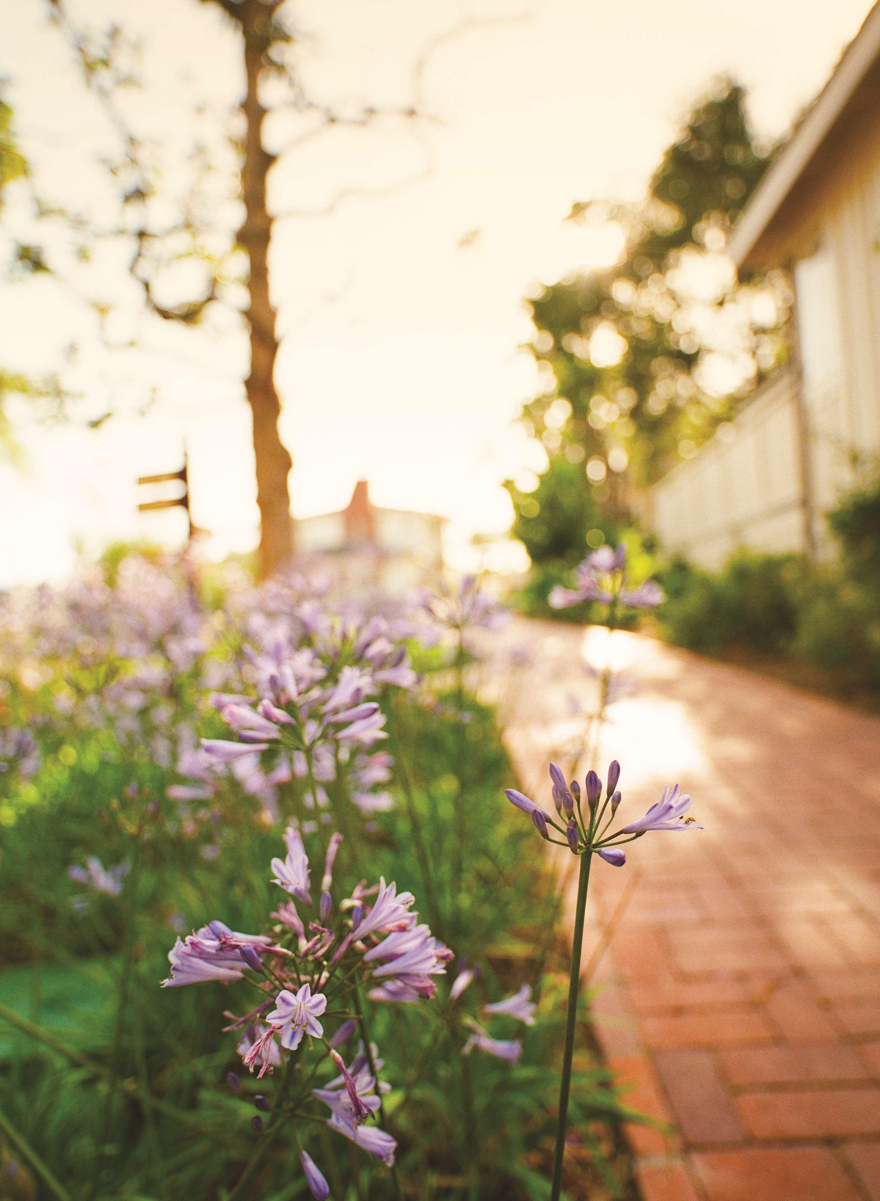 Room Superior King Bed