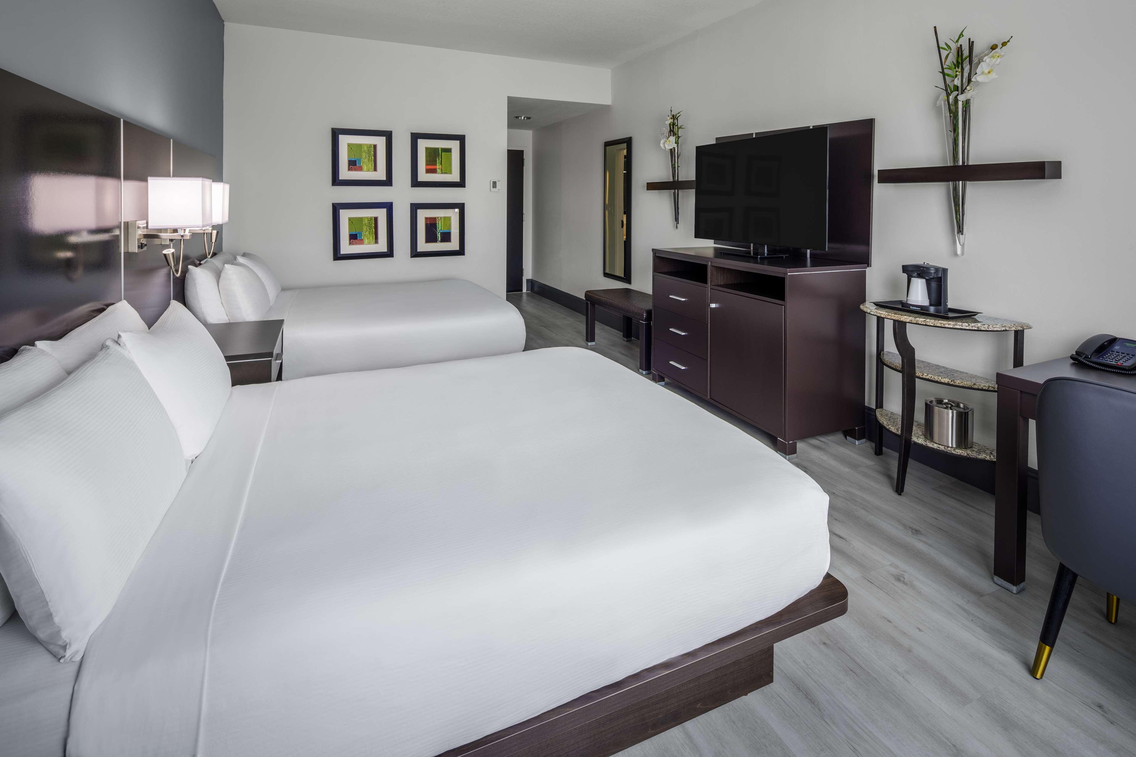 Double Two Queen Beds