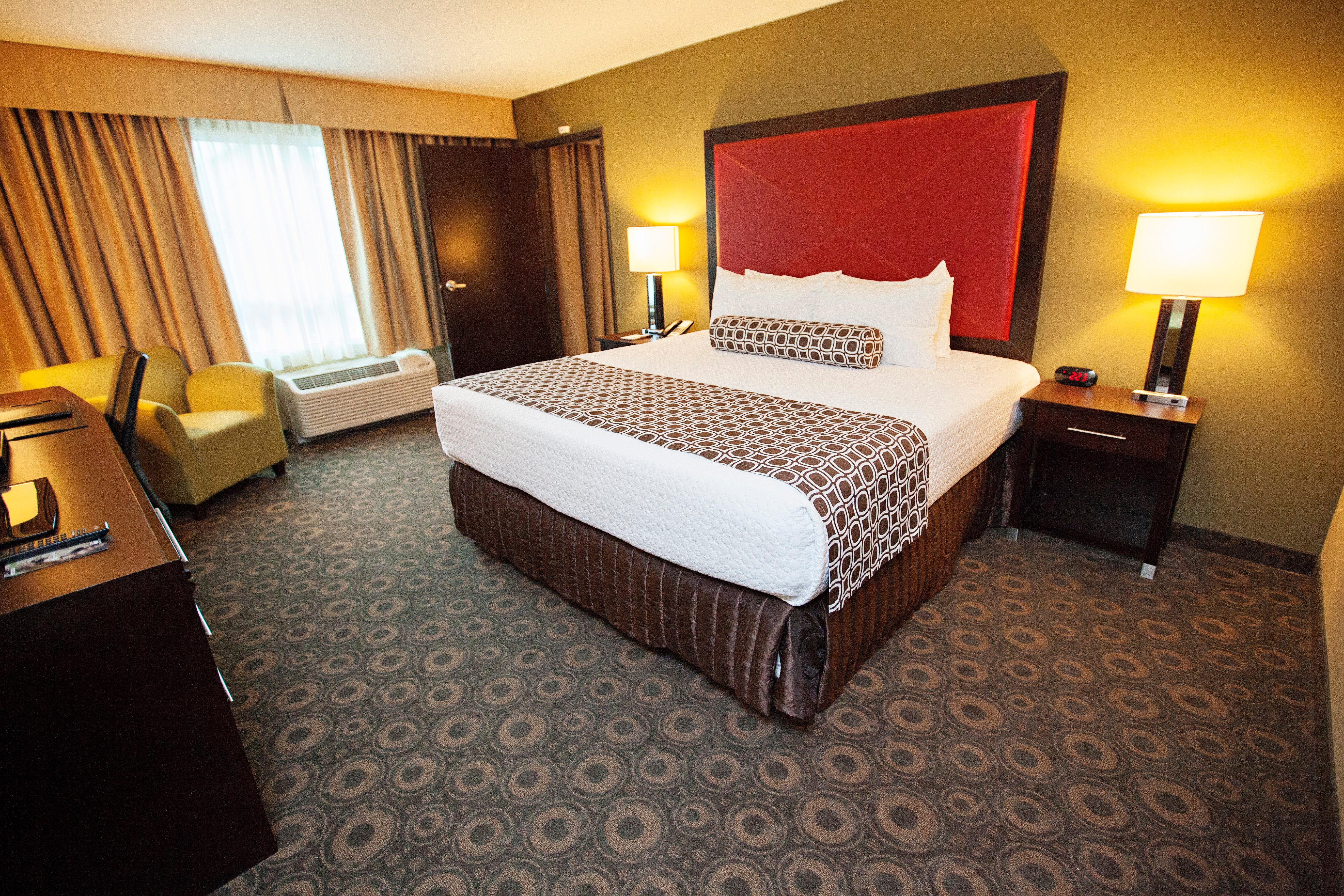 Suite King Bed Non Smoking