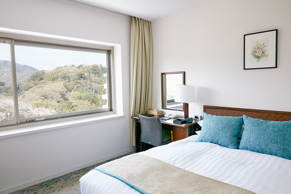 Double Mountain View