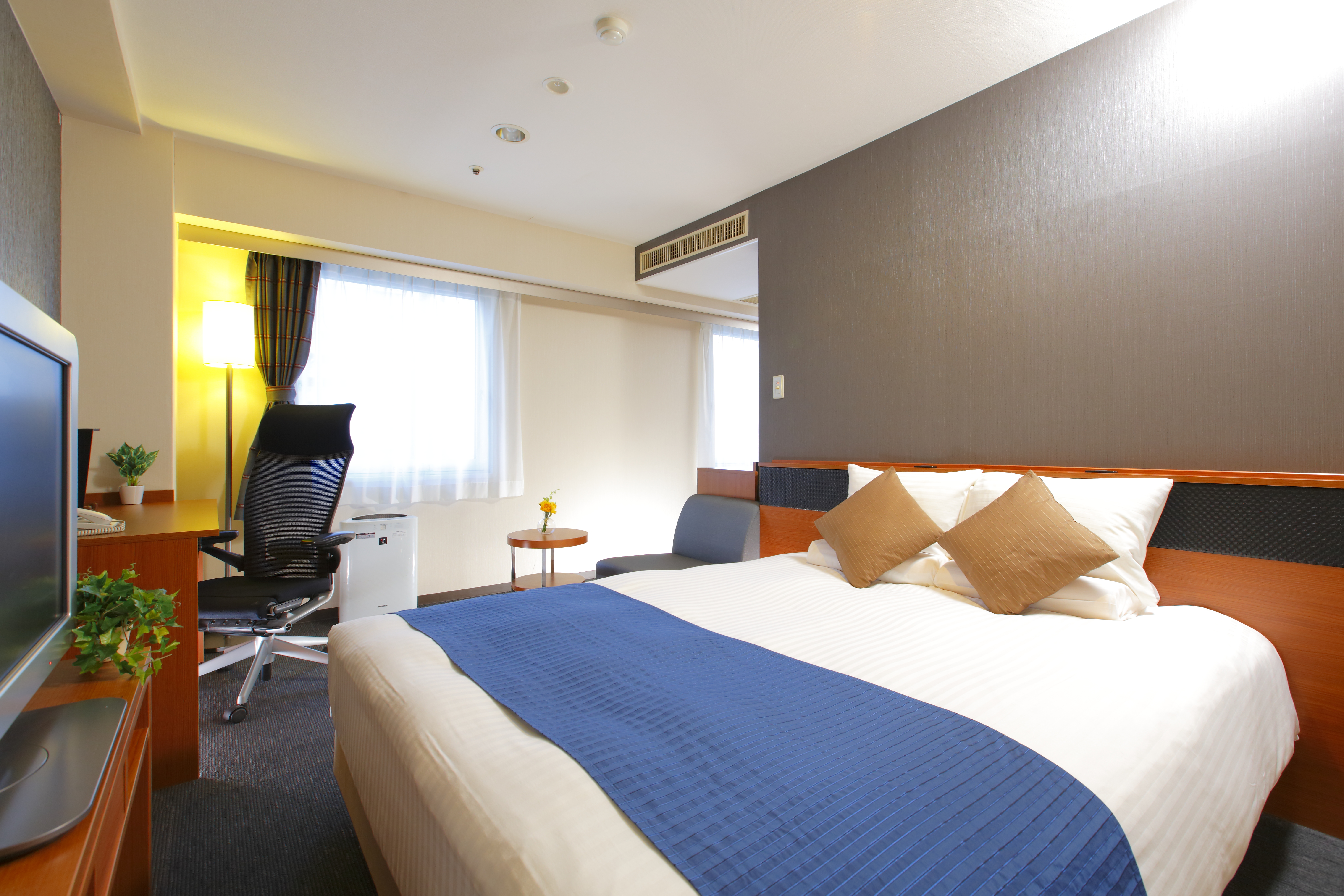 Double Queen Size Bed