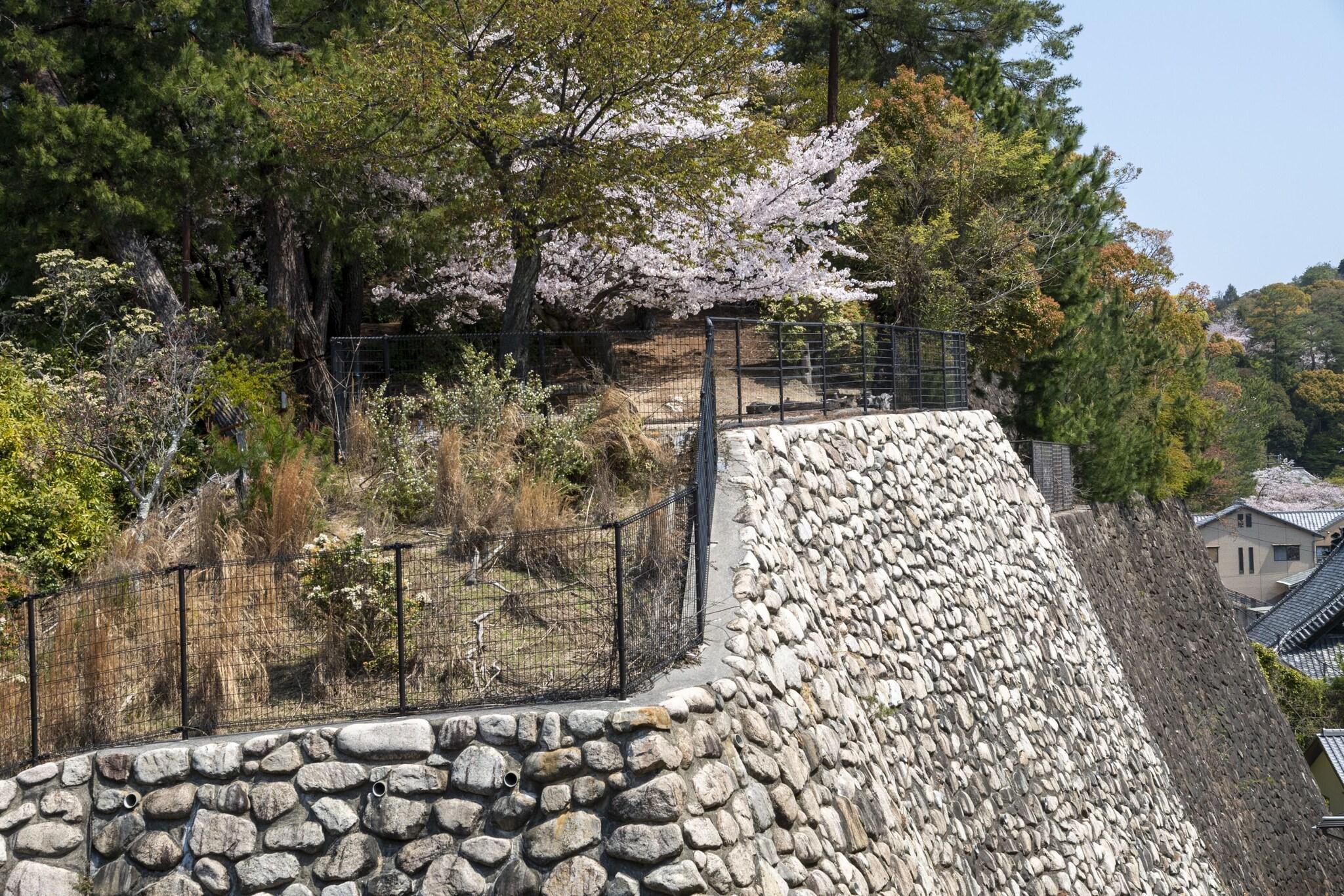 Room Japanese Room Non Smoking