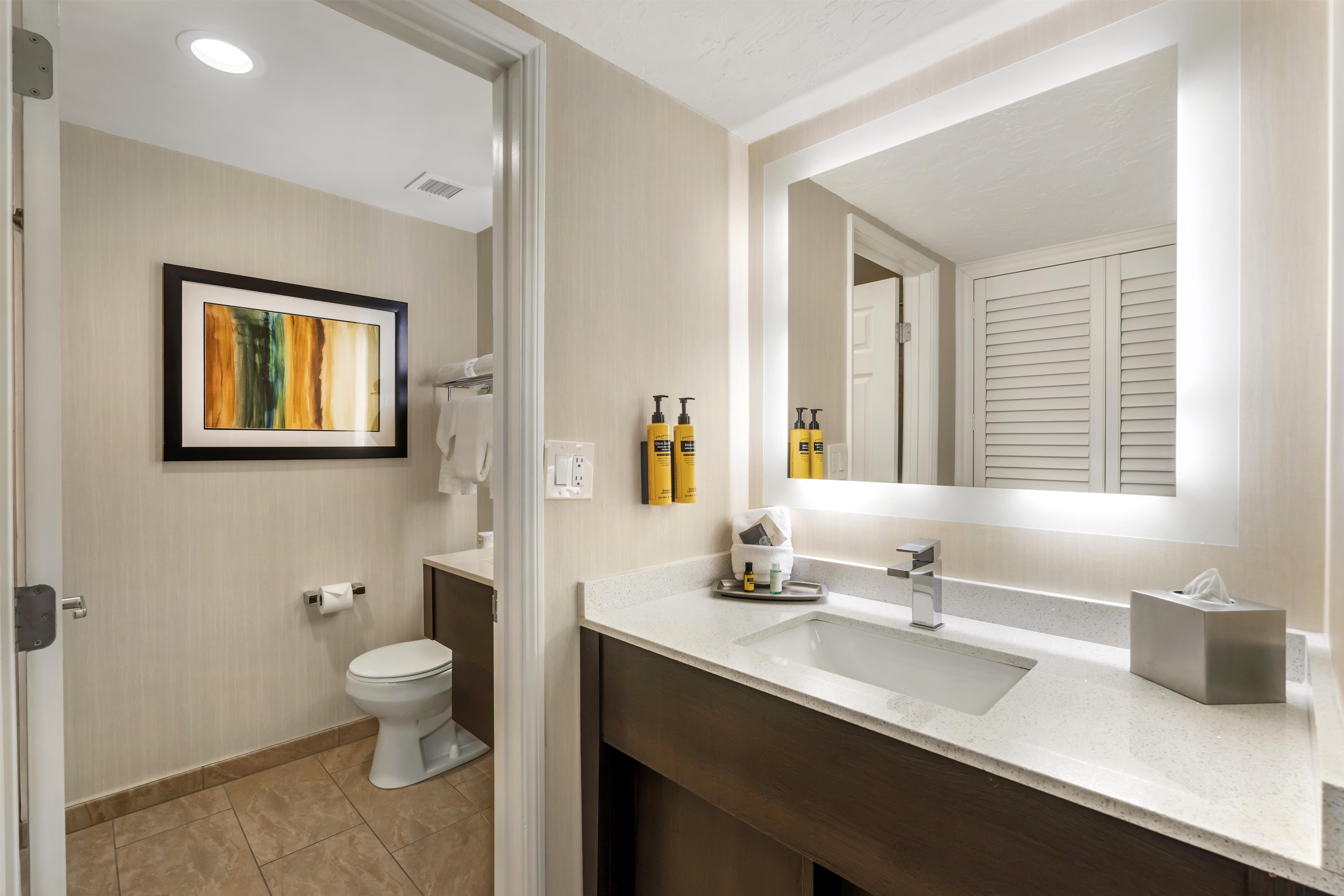 Room King Bed Non Smoking