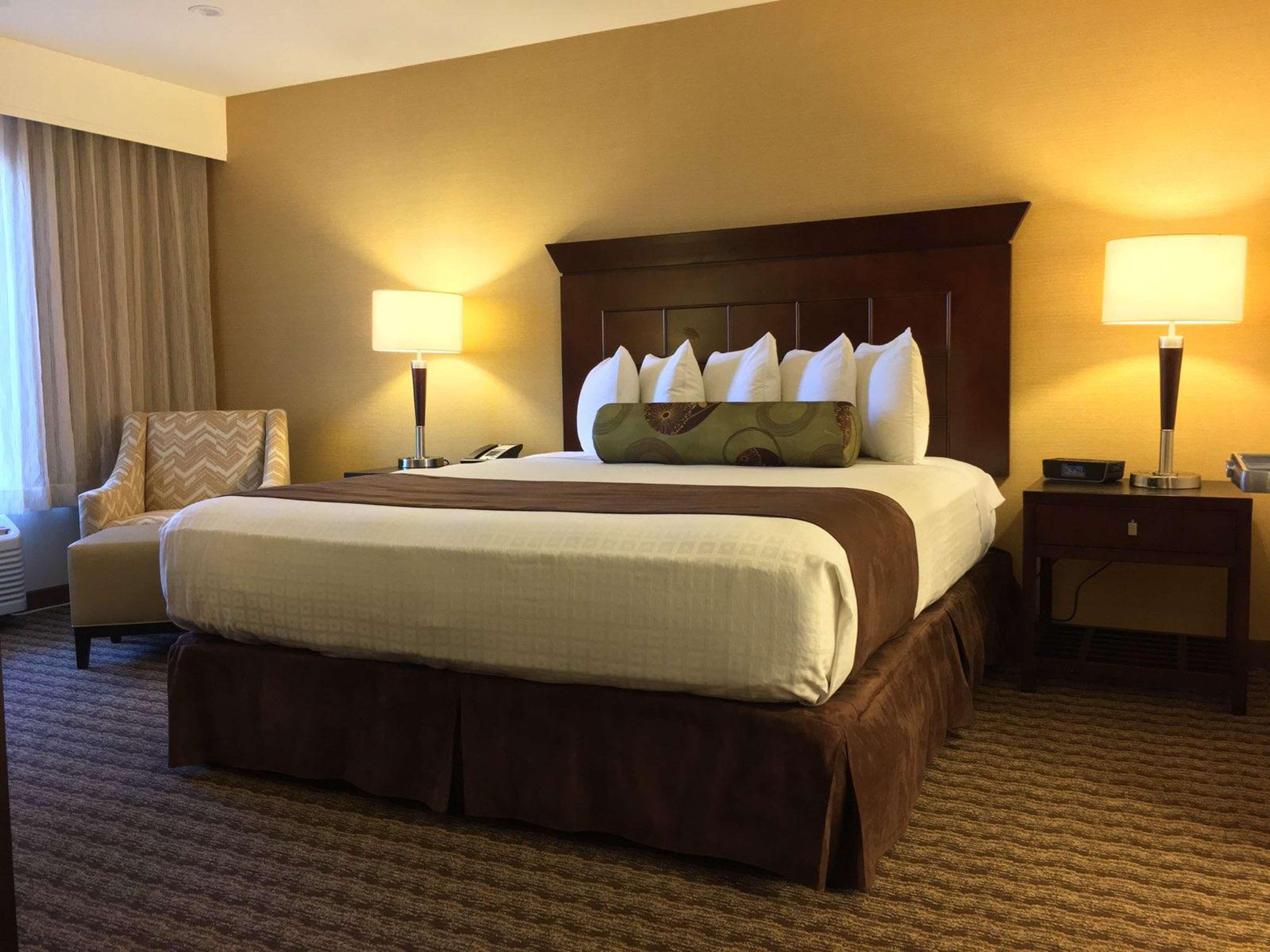 Suite King Bed Non Smoking