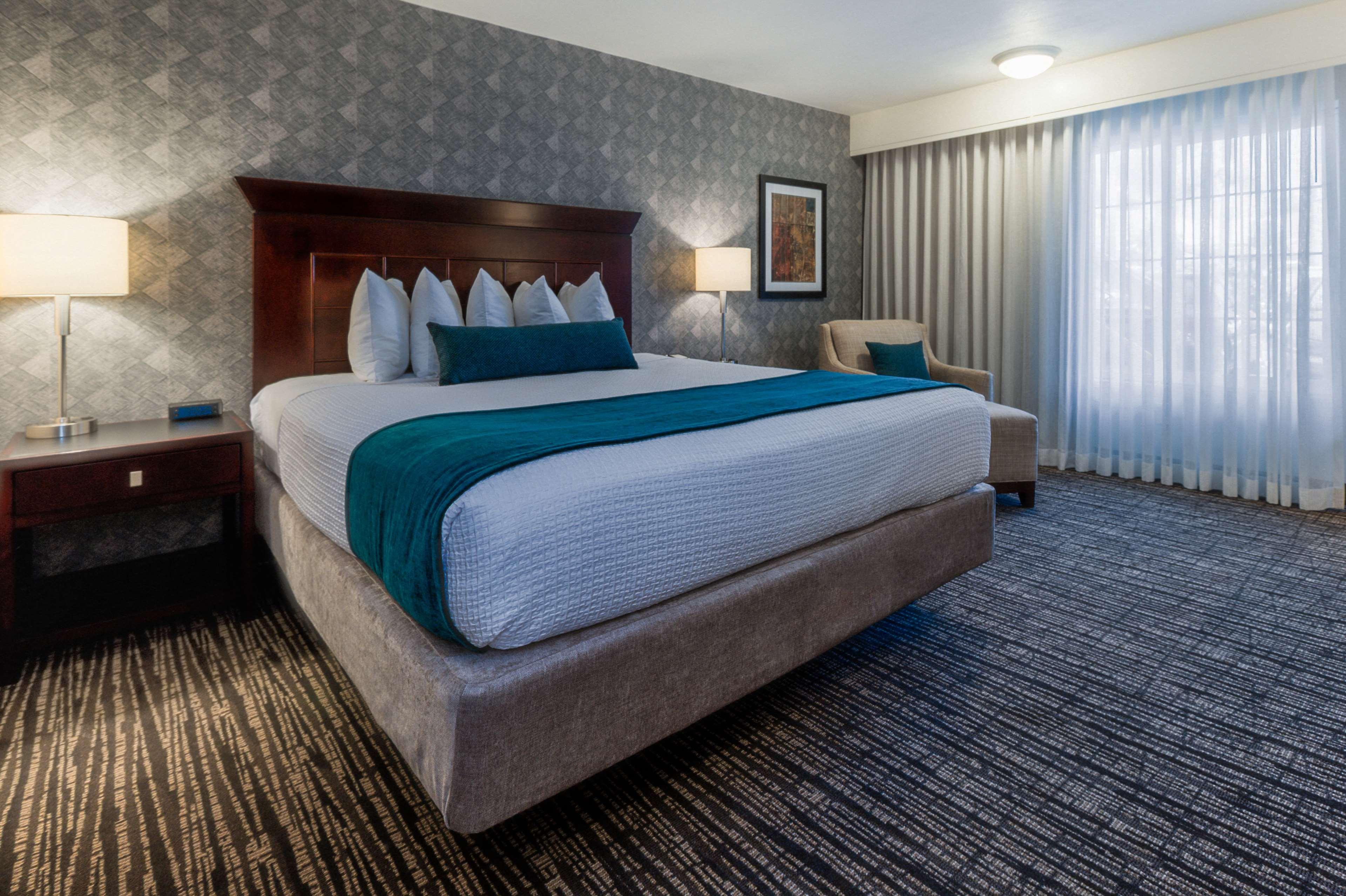 Suite King Bed Non Smoking