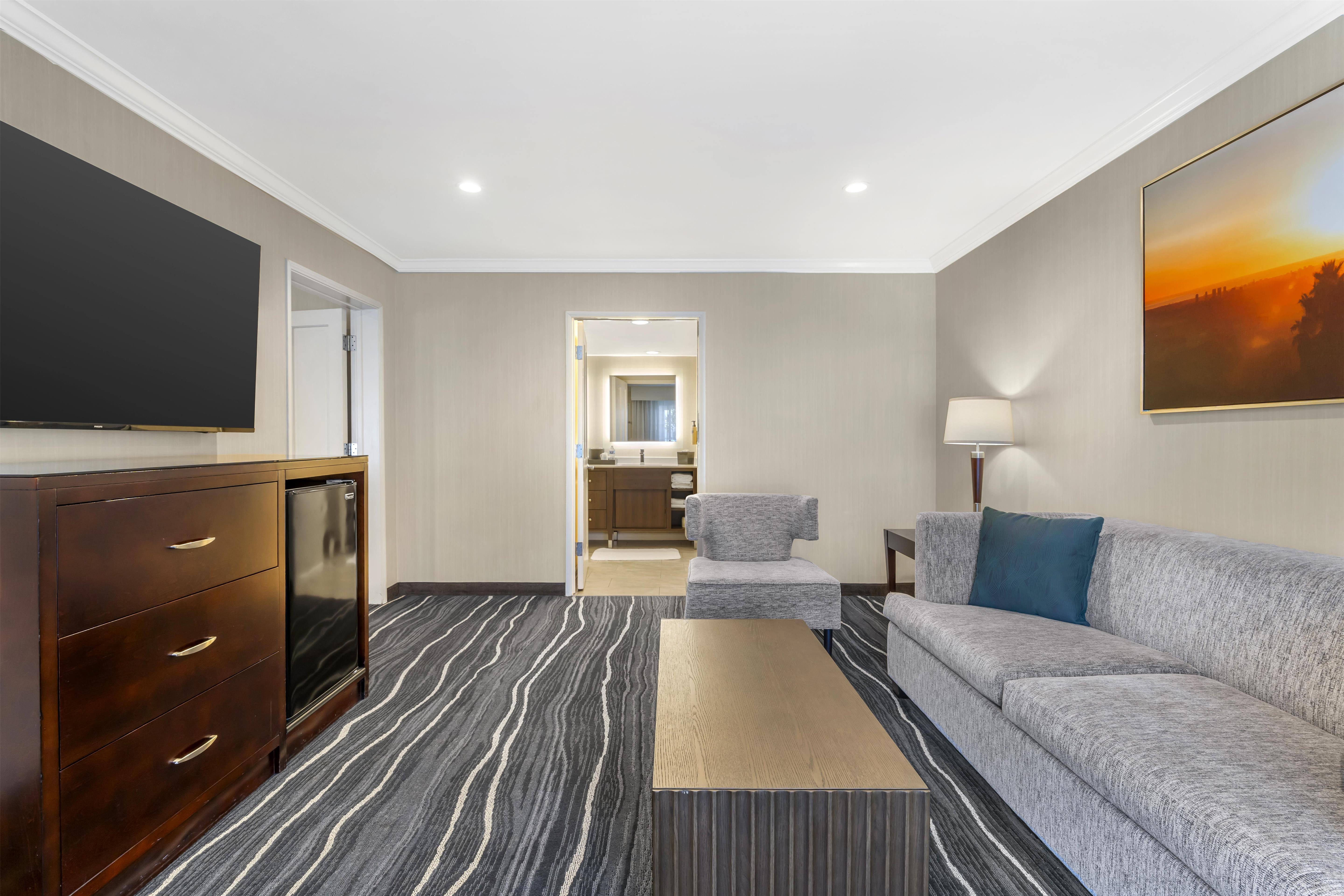 Suite King Bed Non Smoking