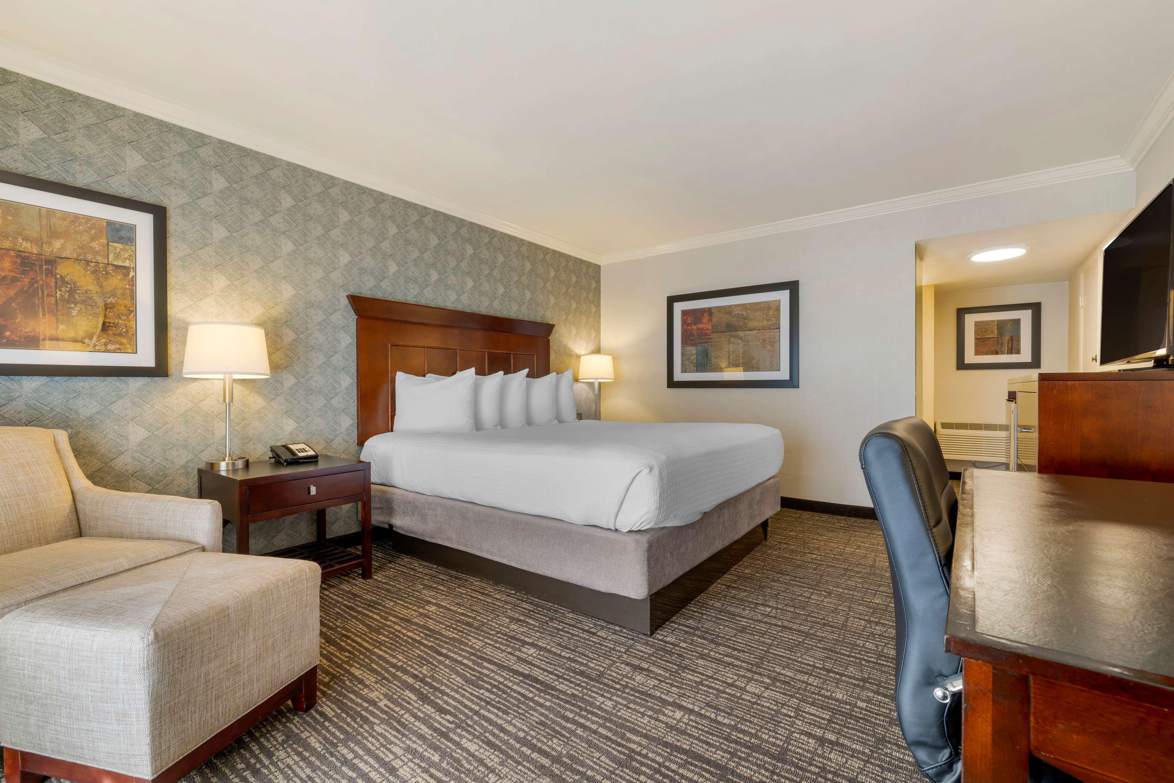 Suite King Bed Non Smoking