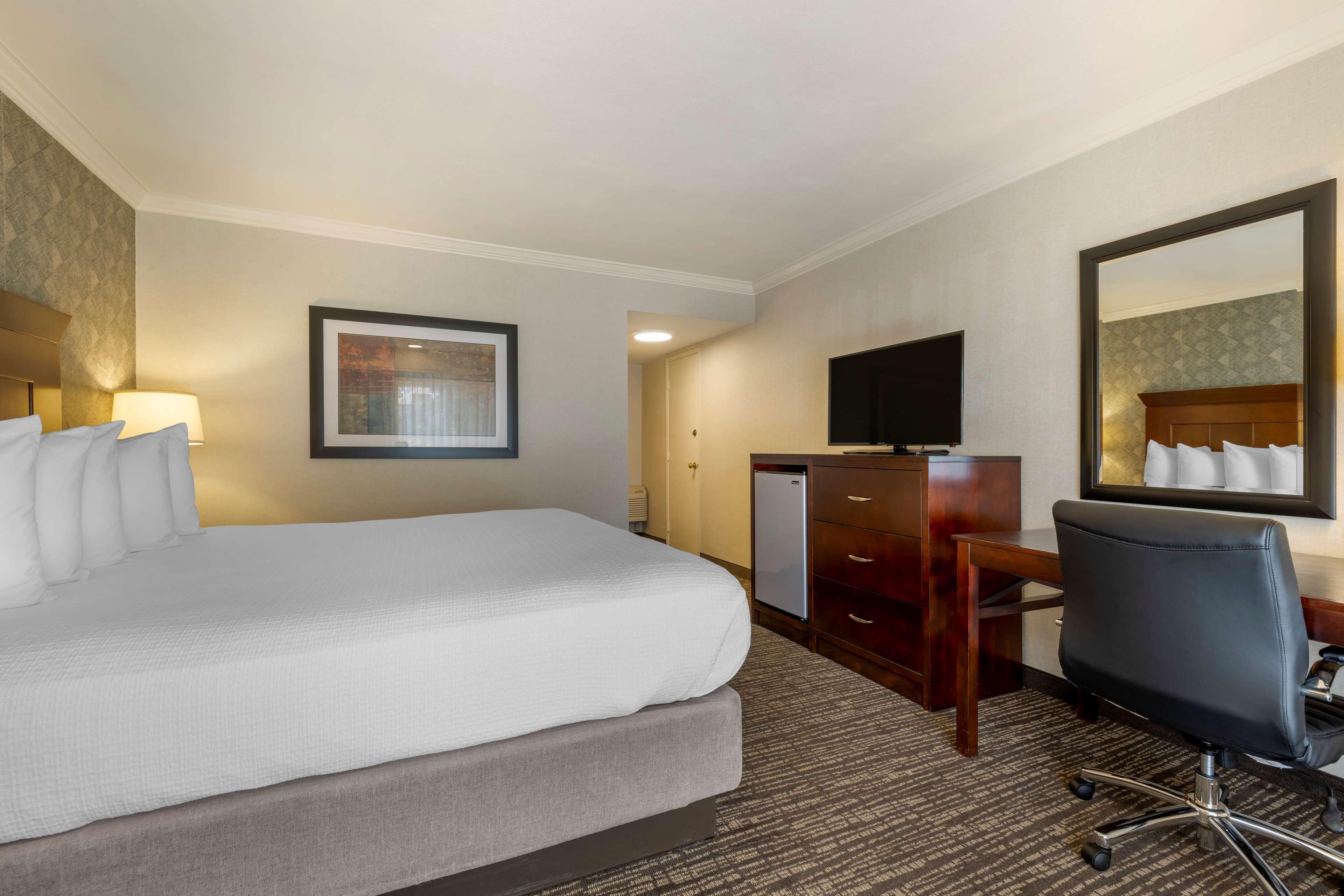 Suite King Bed Non Smoking