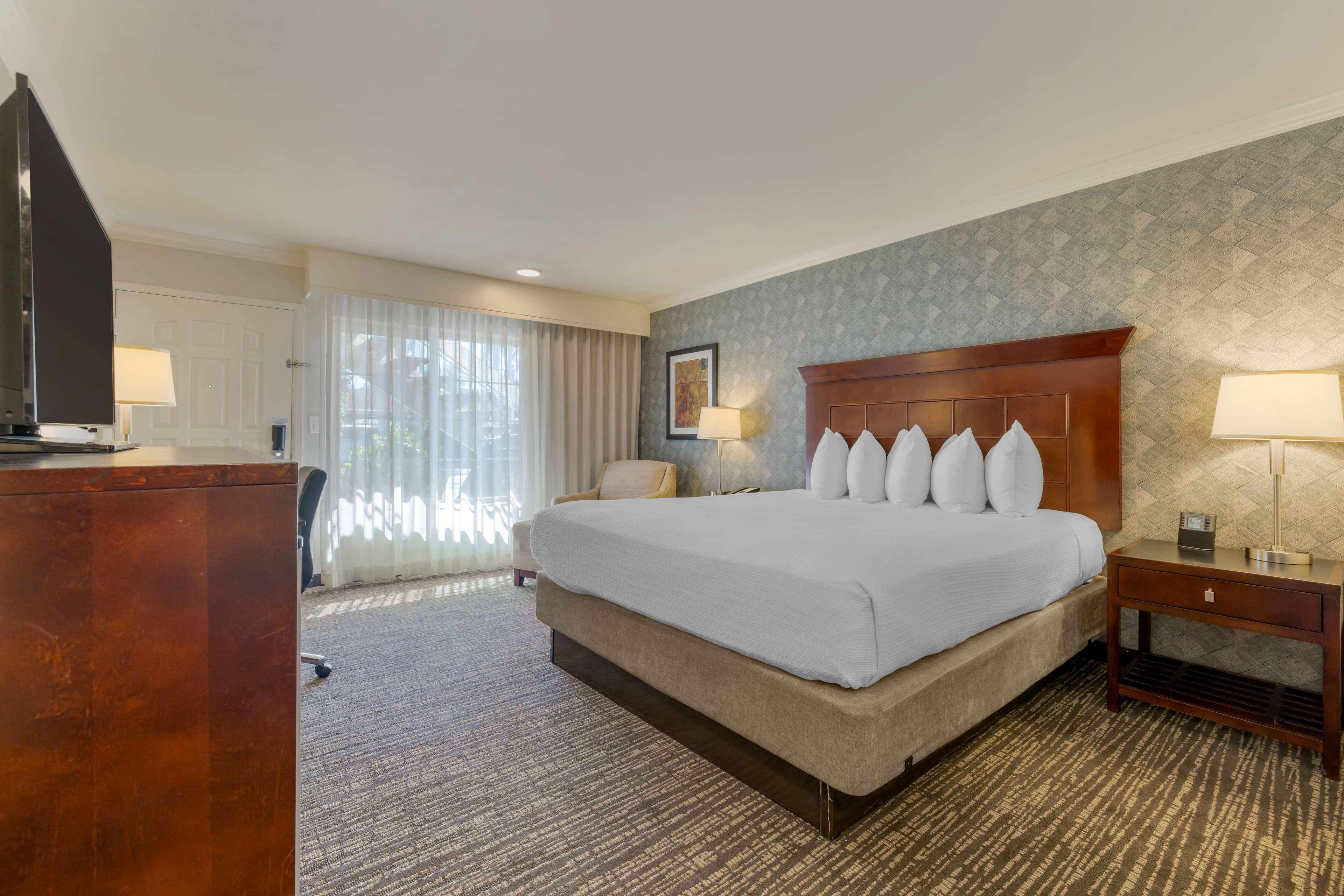 Suite King Bed Non Smoking