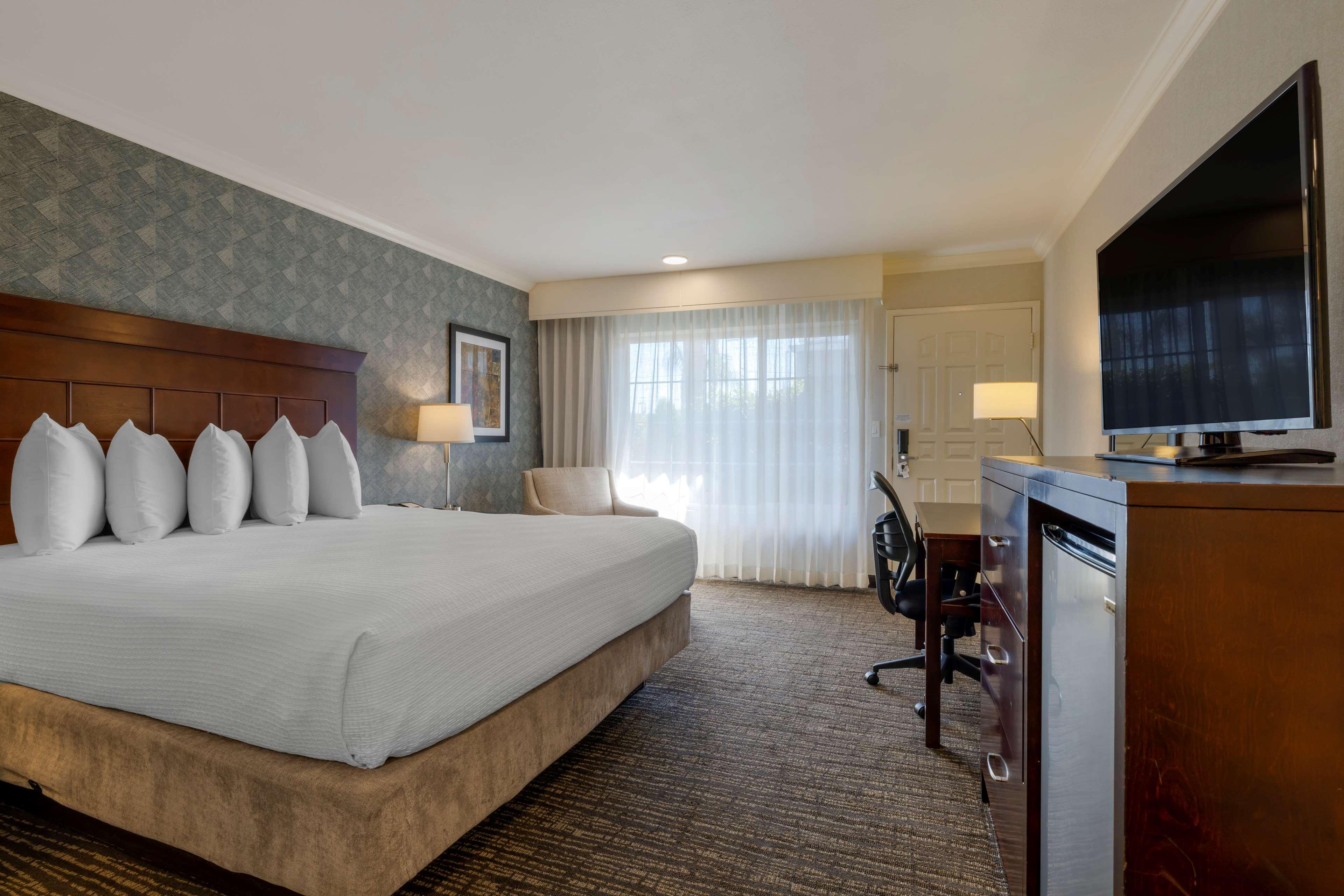 Room King Bed Non Smoking