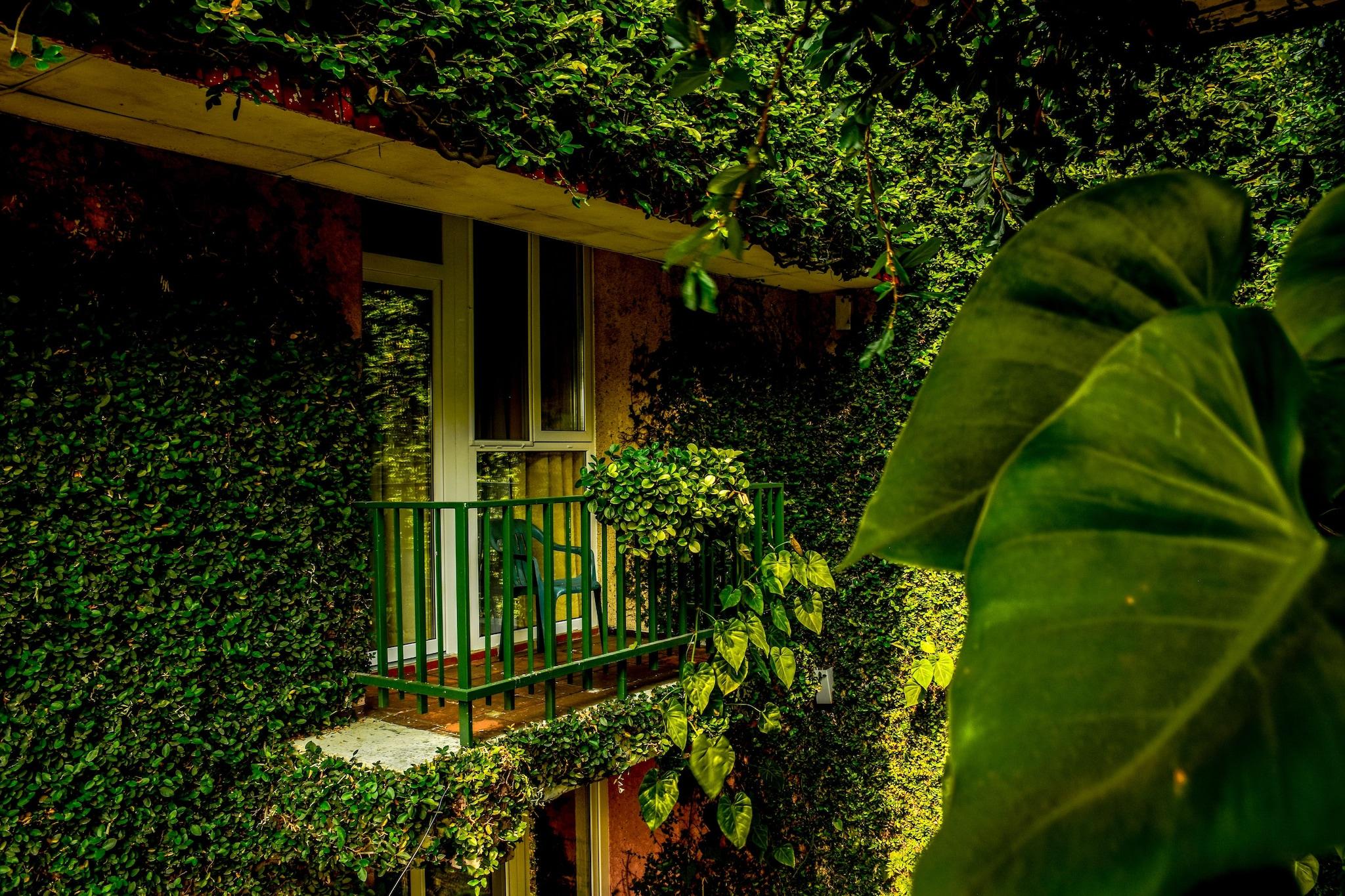 Twin Two Double Beds