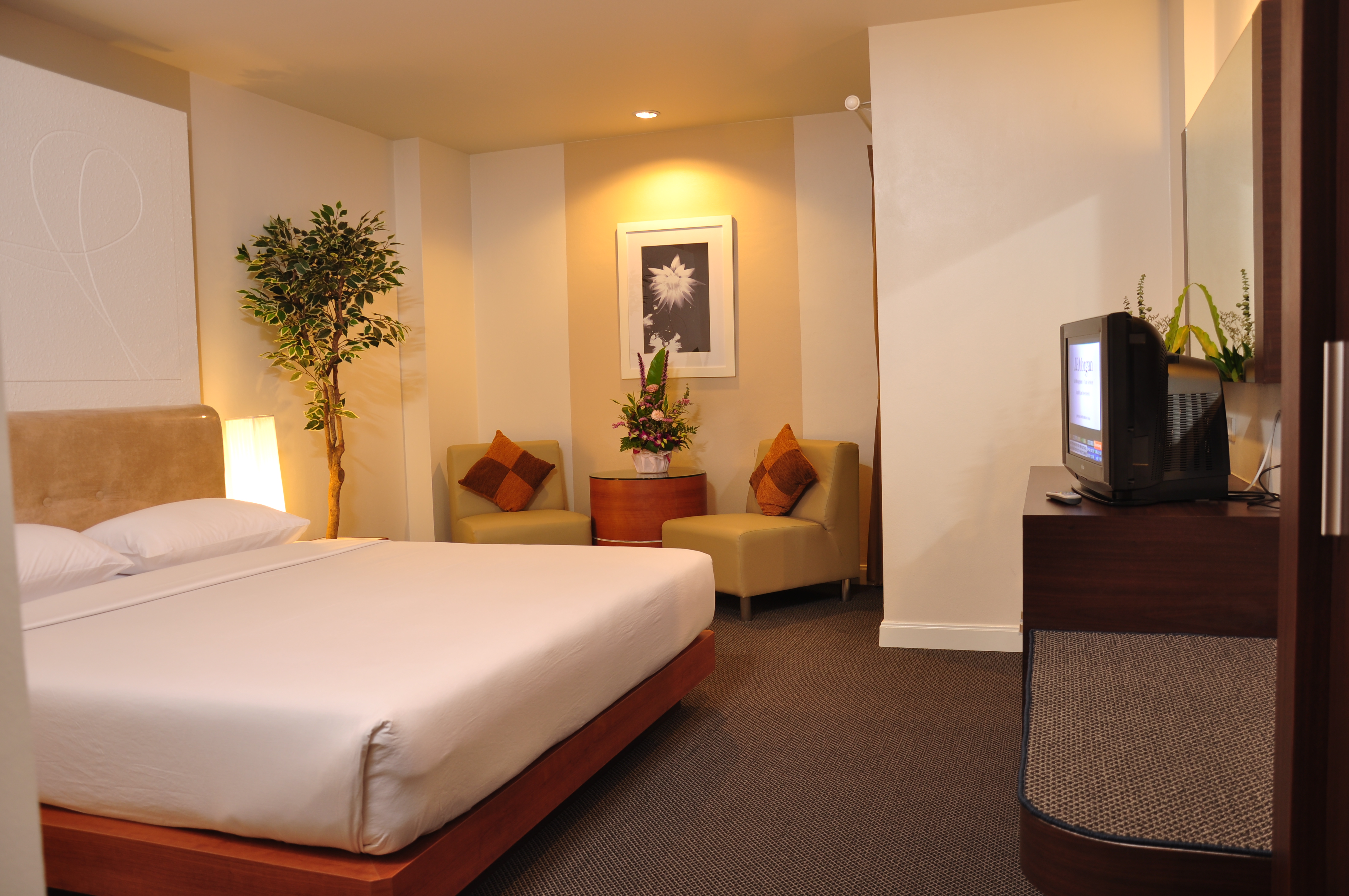 Double or Twin Superior