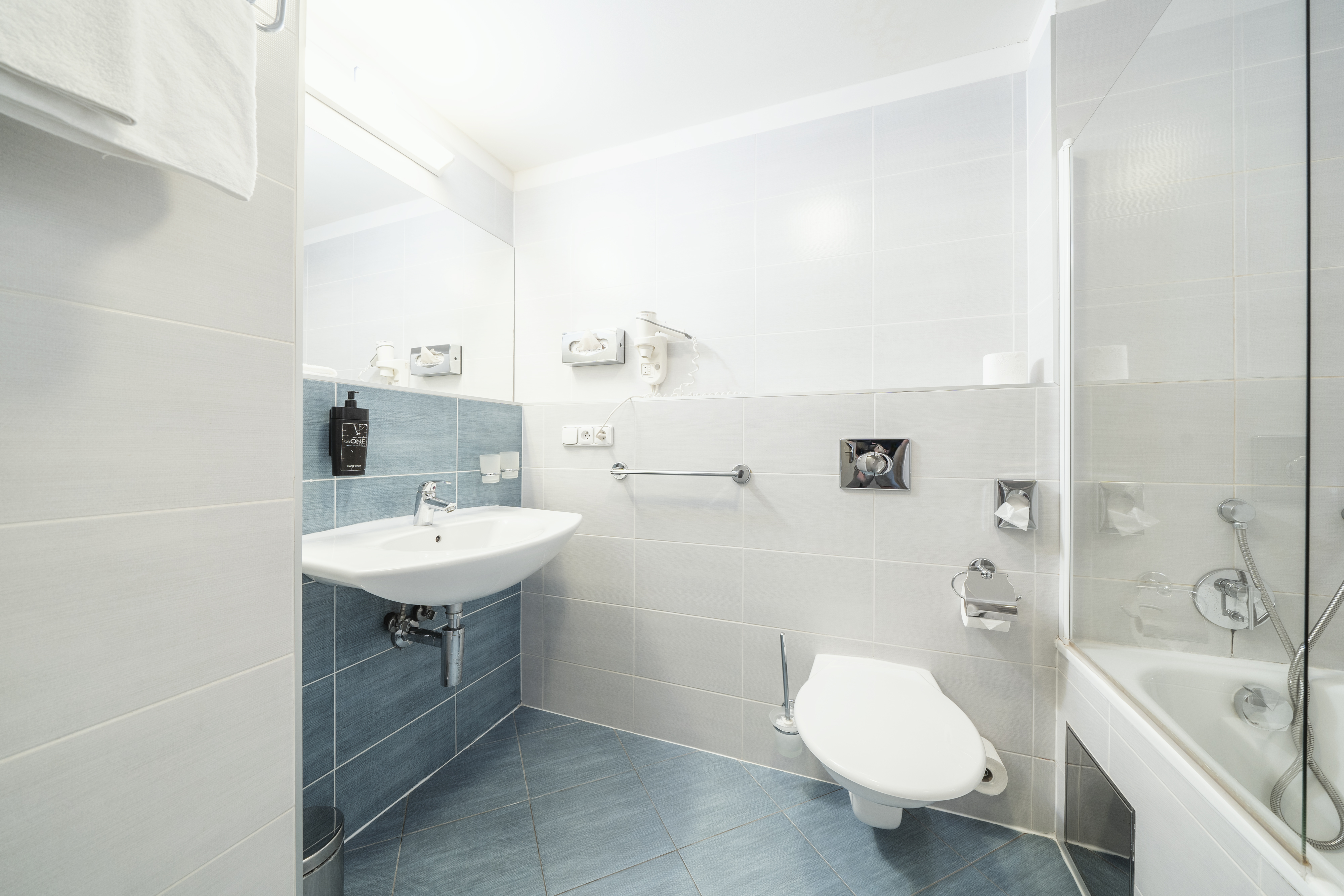 Double or Twin Standard