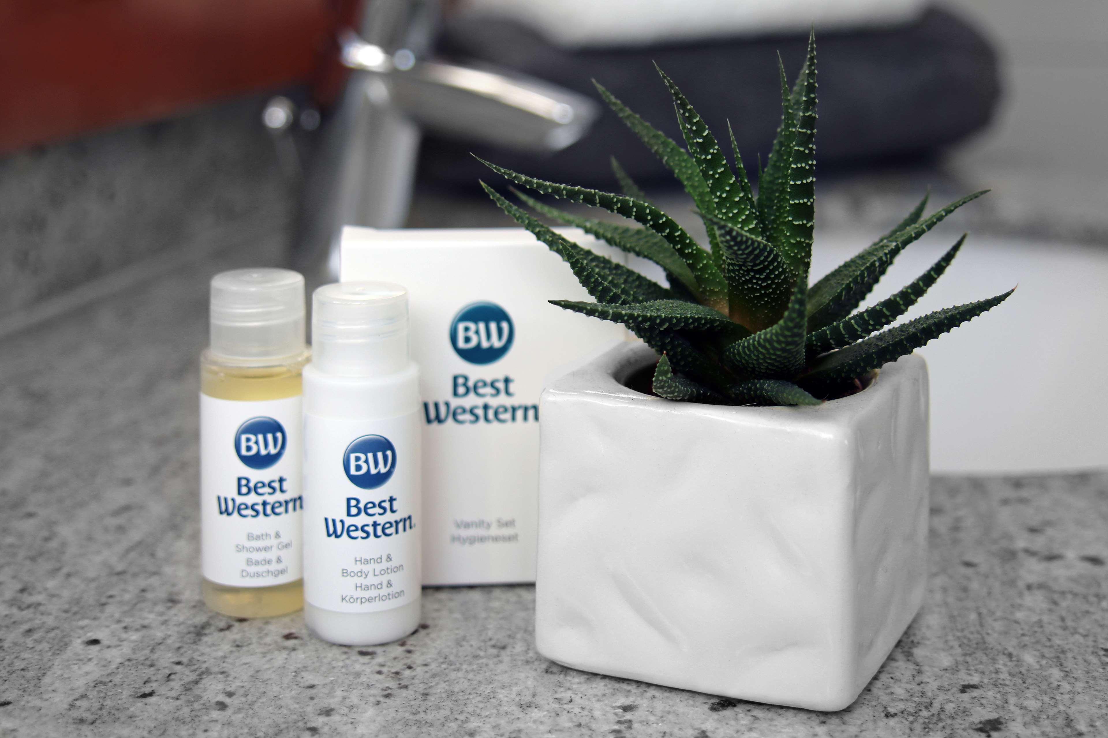 Double Queen Size Bed