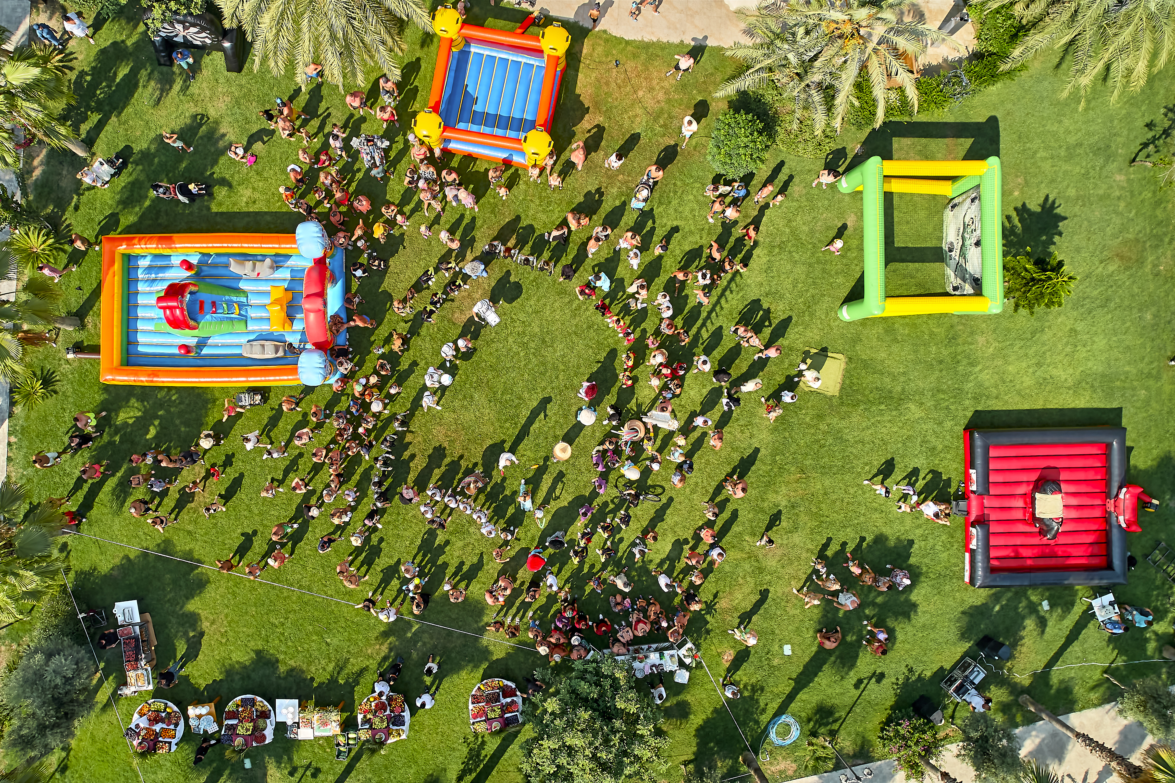 Sports and Entertainment