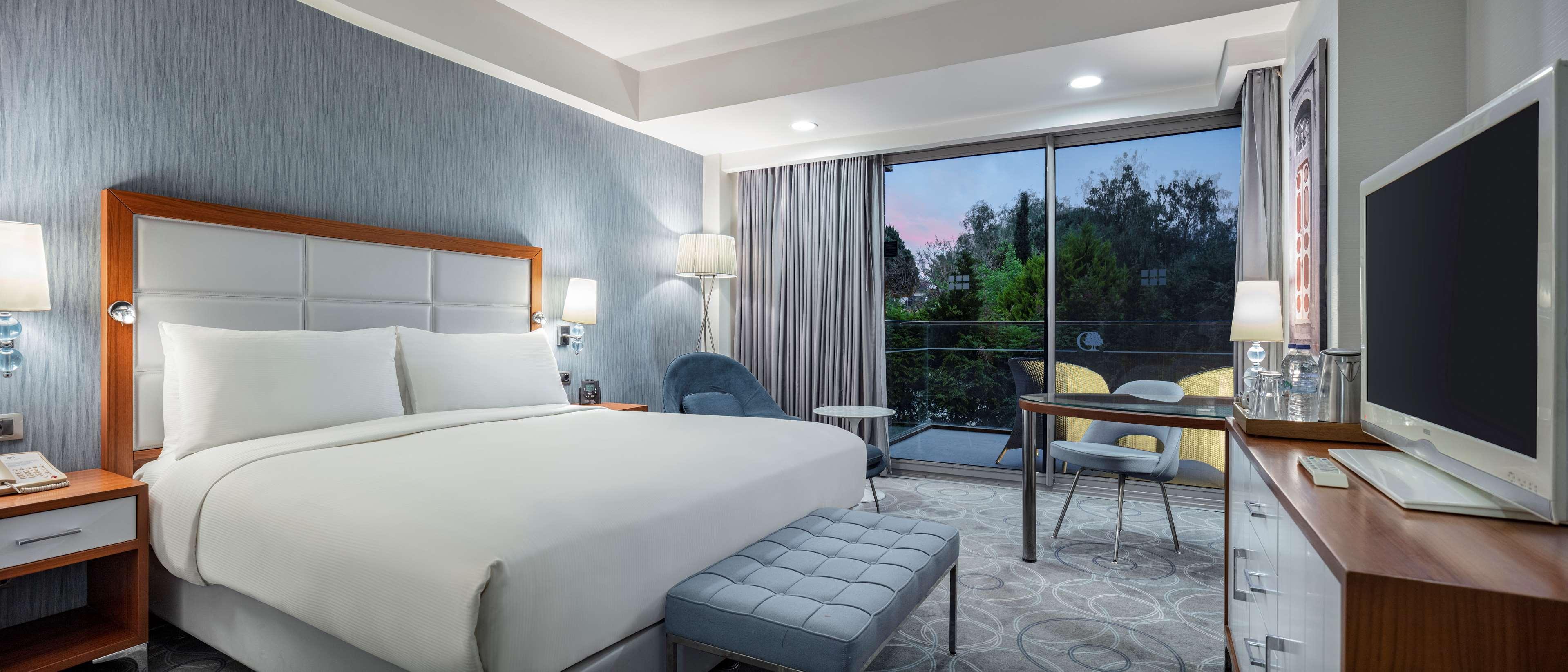 Double Accessible King Size Bed