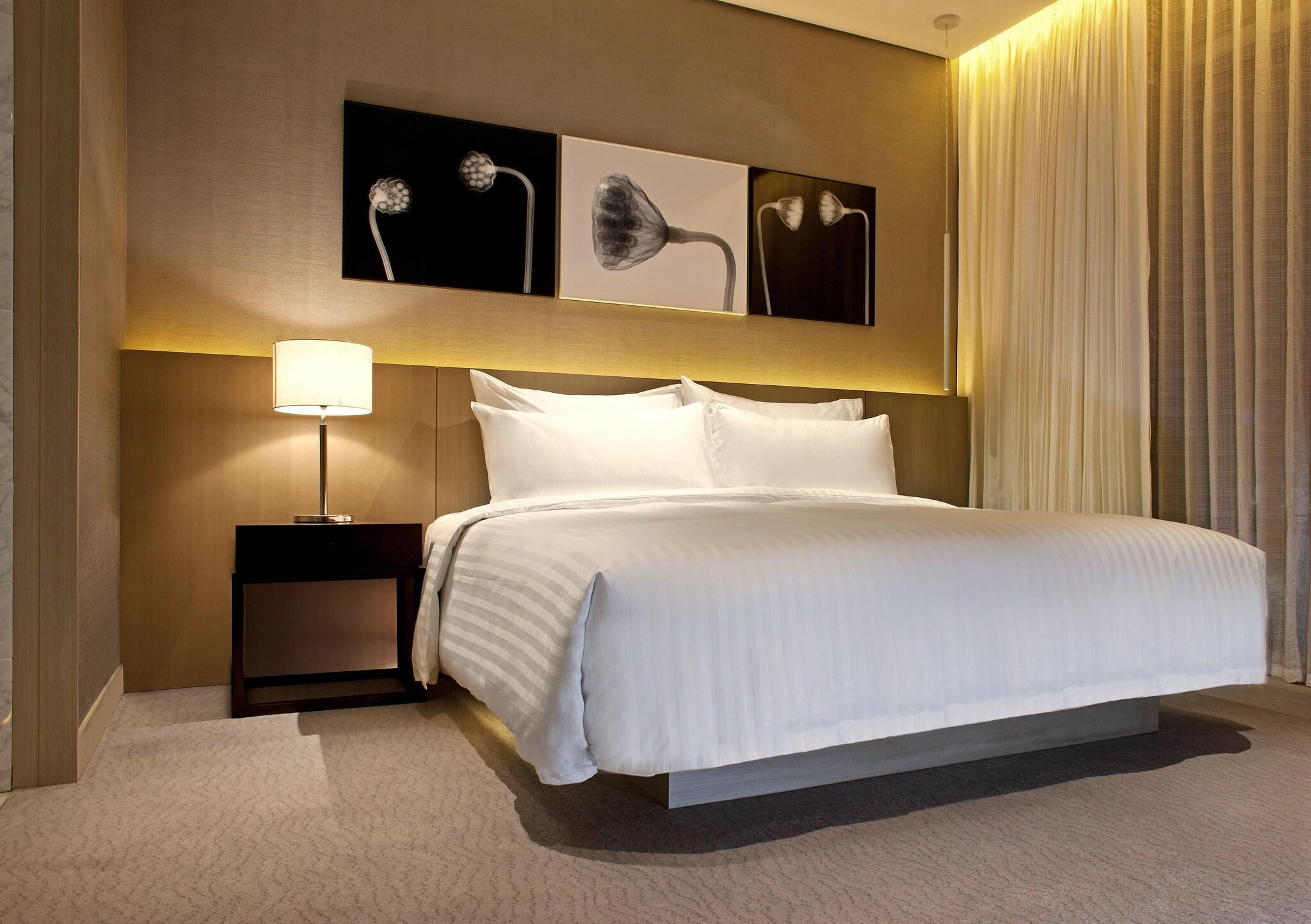 Suite King Bed One Bedroom 