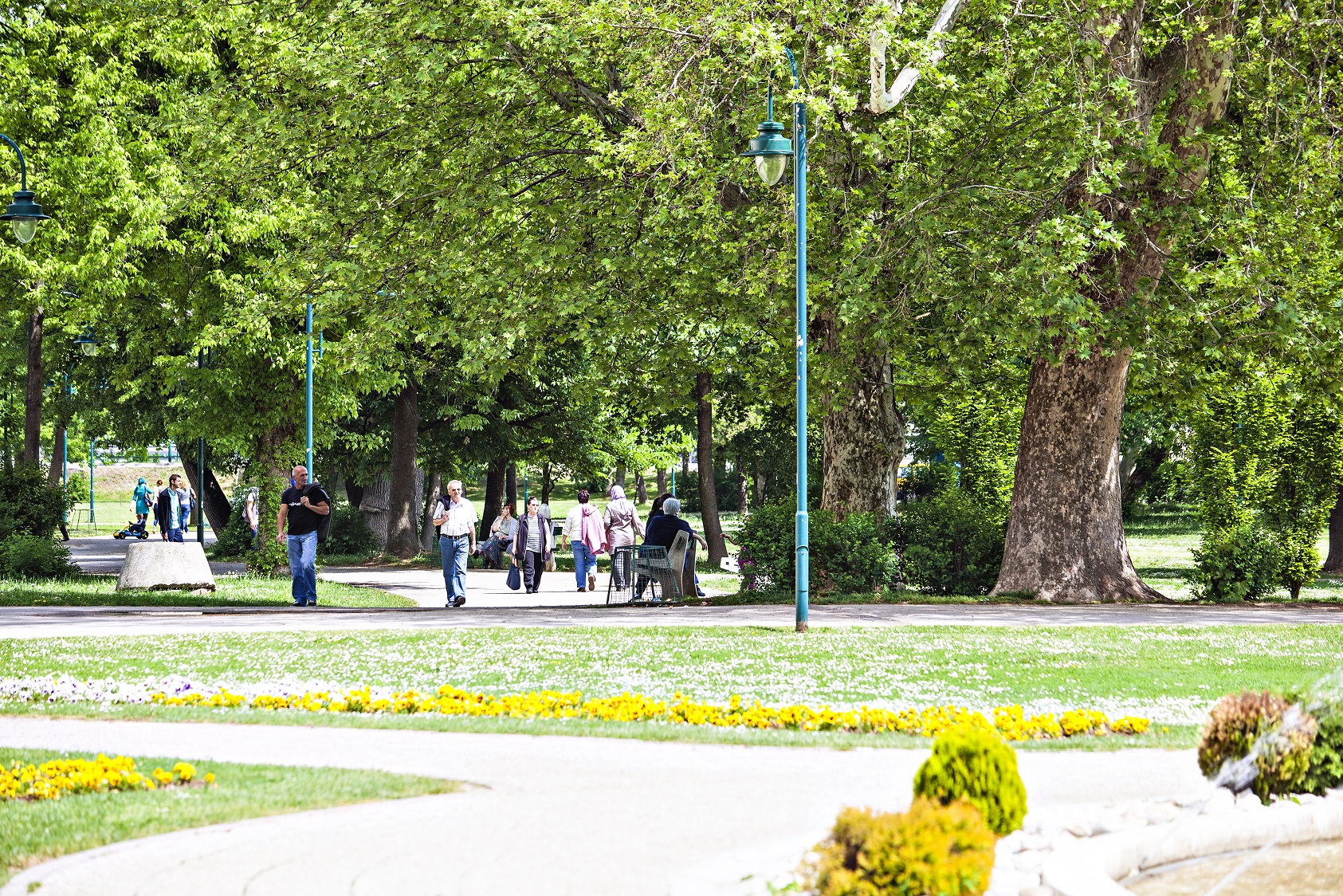 Sports and Entertainment