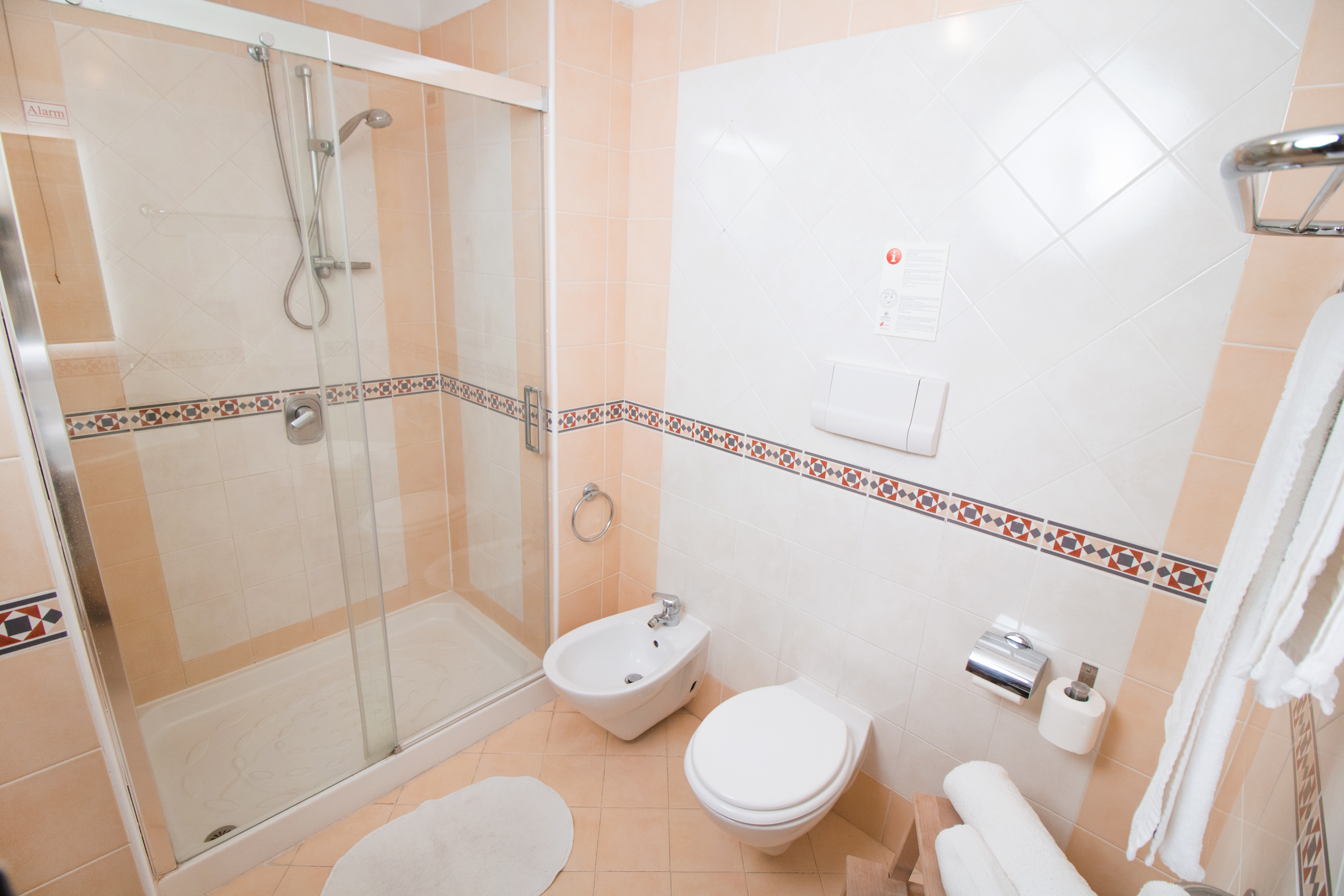 Double or Twin Economy