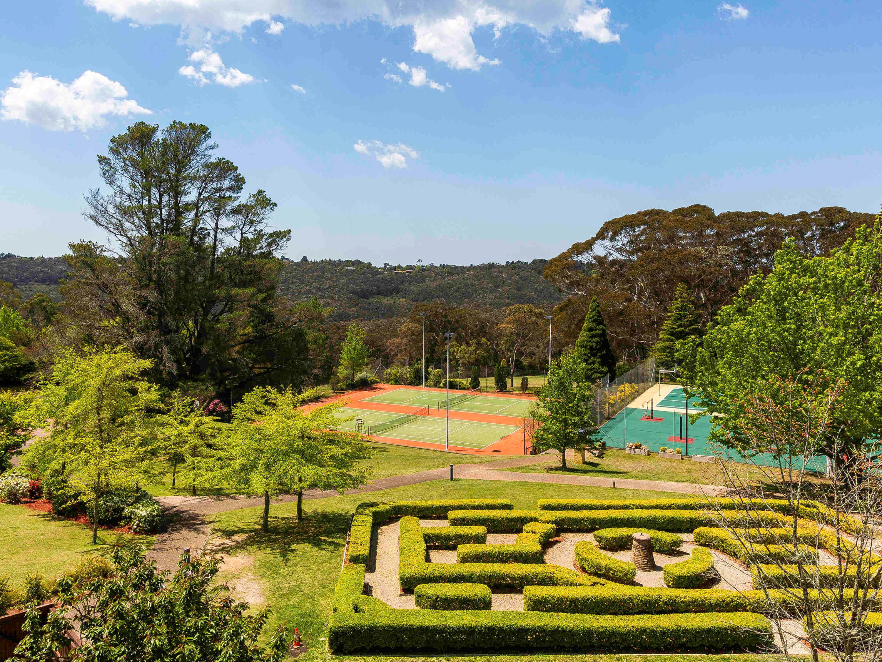 Sports and Entertainment