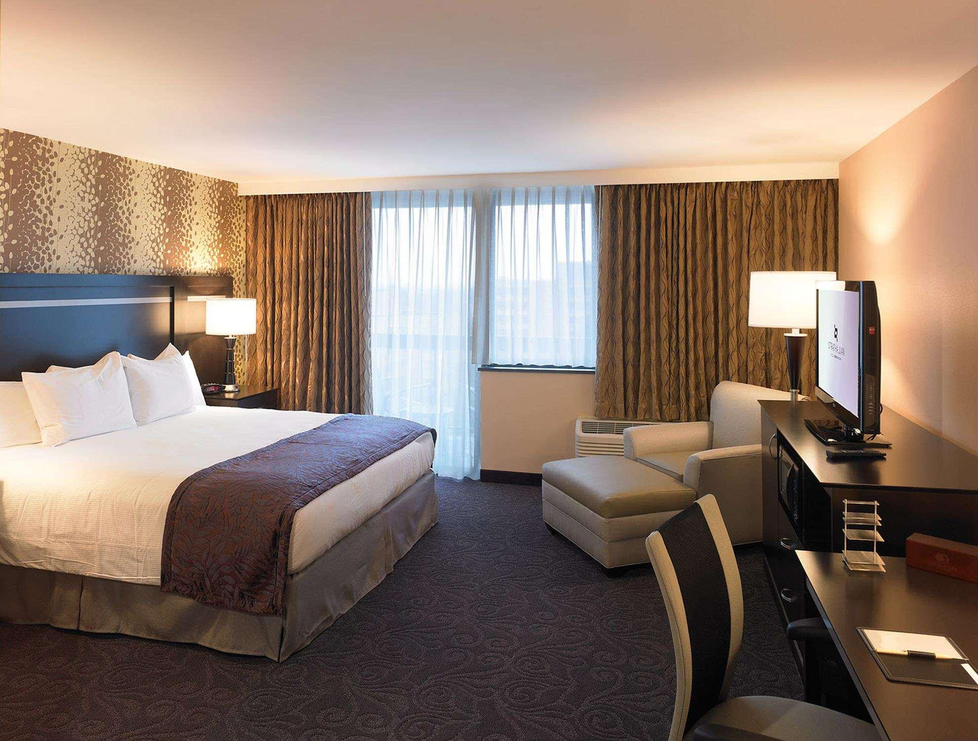 Suite King Bed Non Smoking