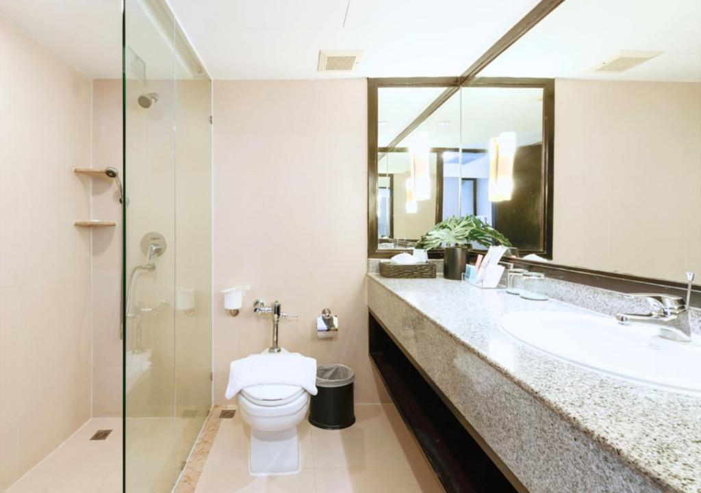 Family Room Bunk Bed