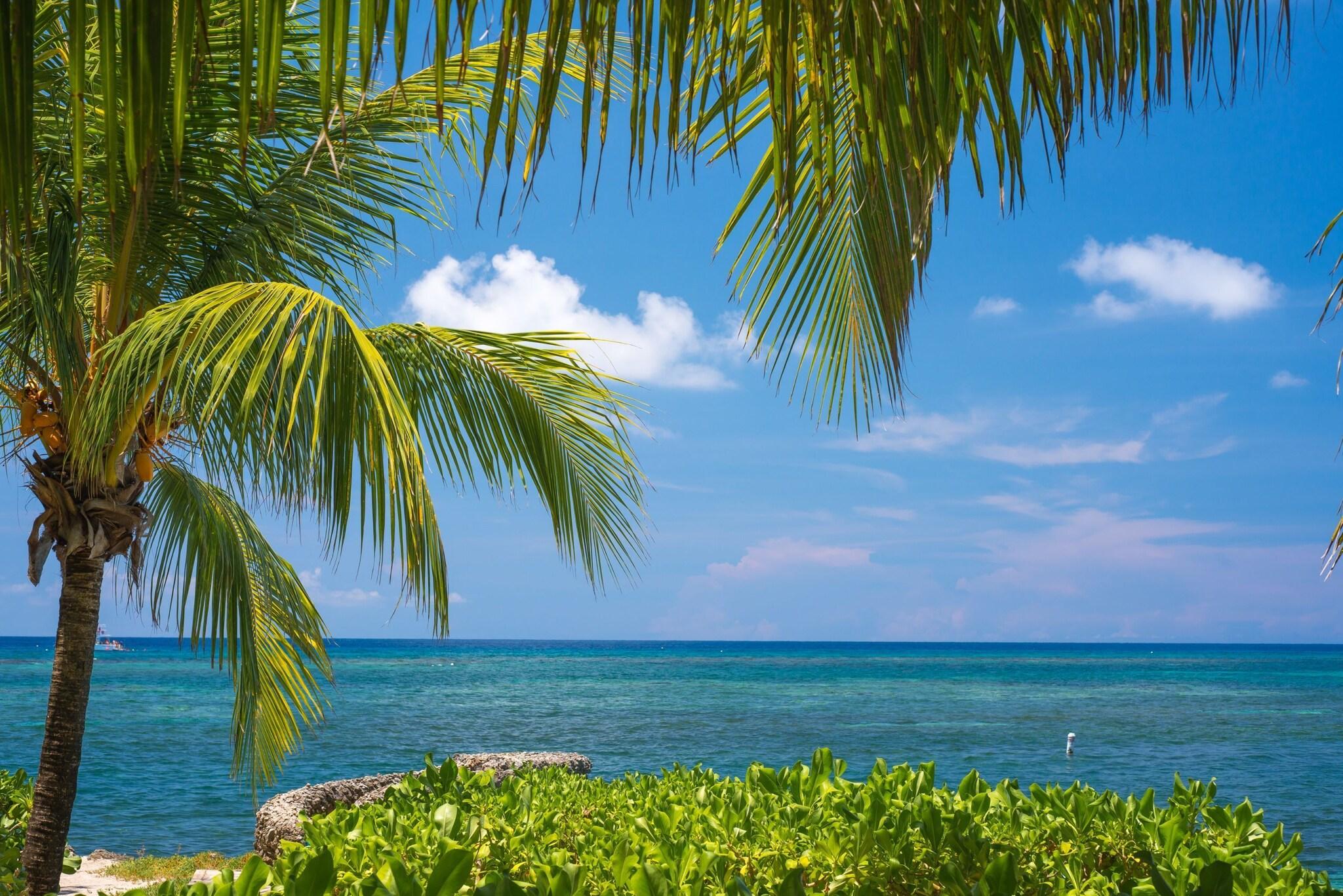 Bungalow Beach Front