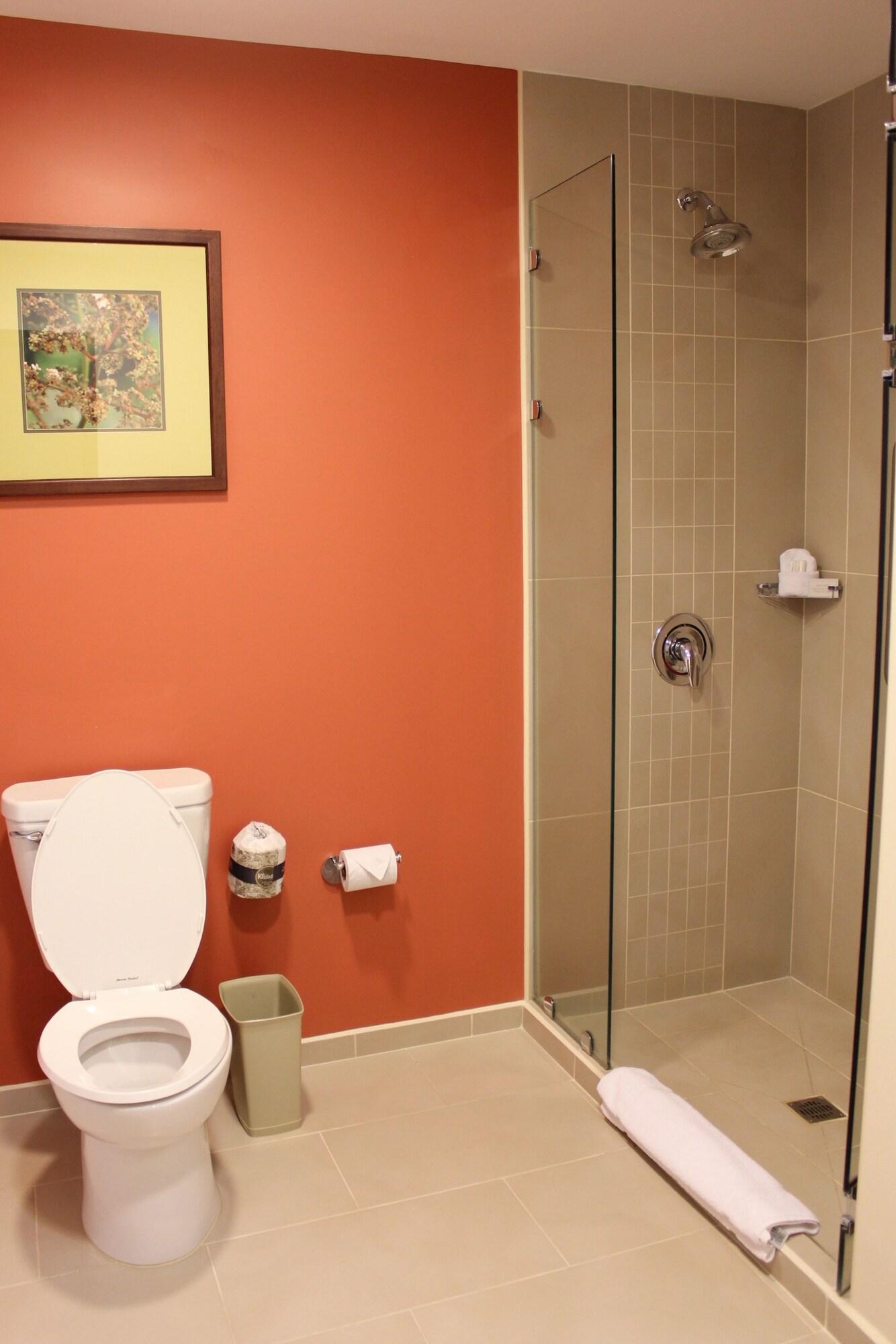 Double Two Queen Beds