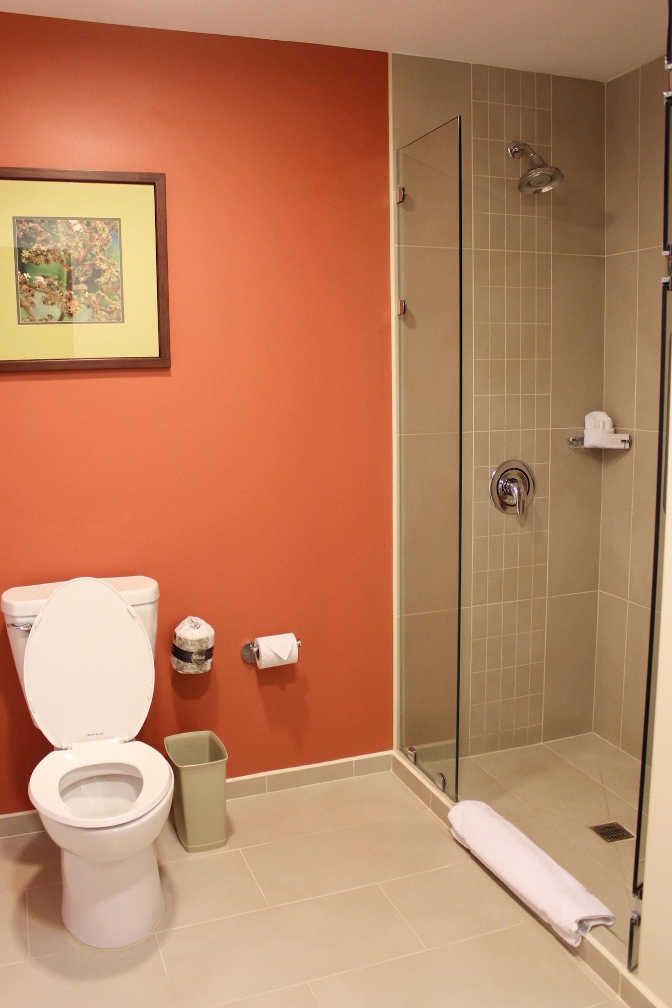 Double Two Queen Beds