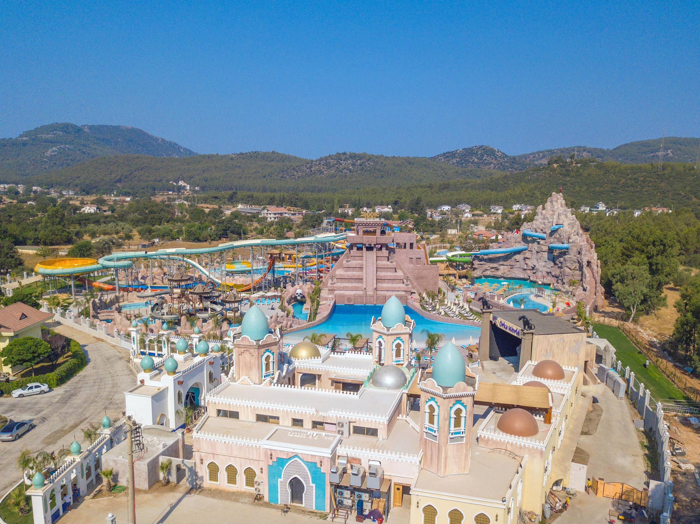 Sports and Entertainment