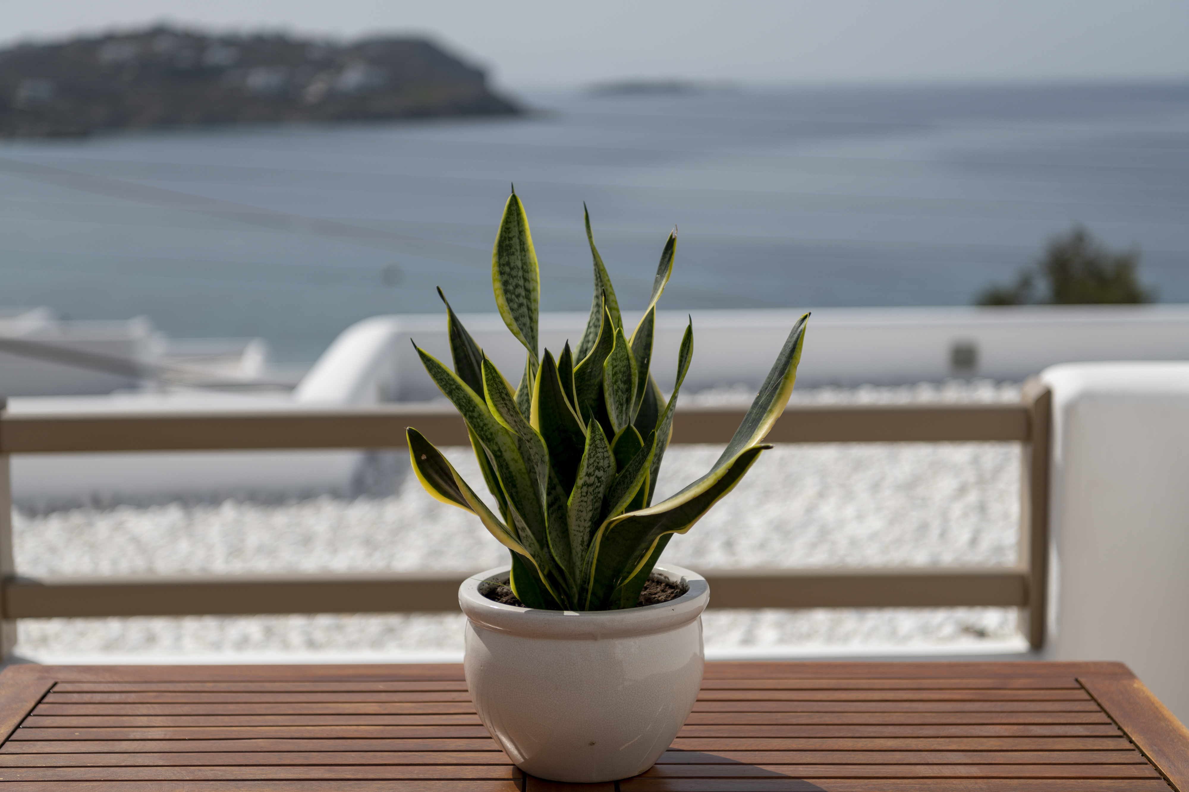 Junior Suite Sea View