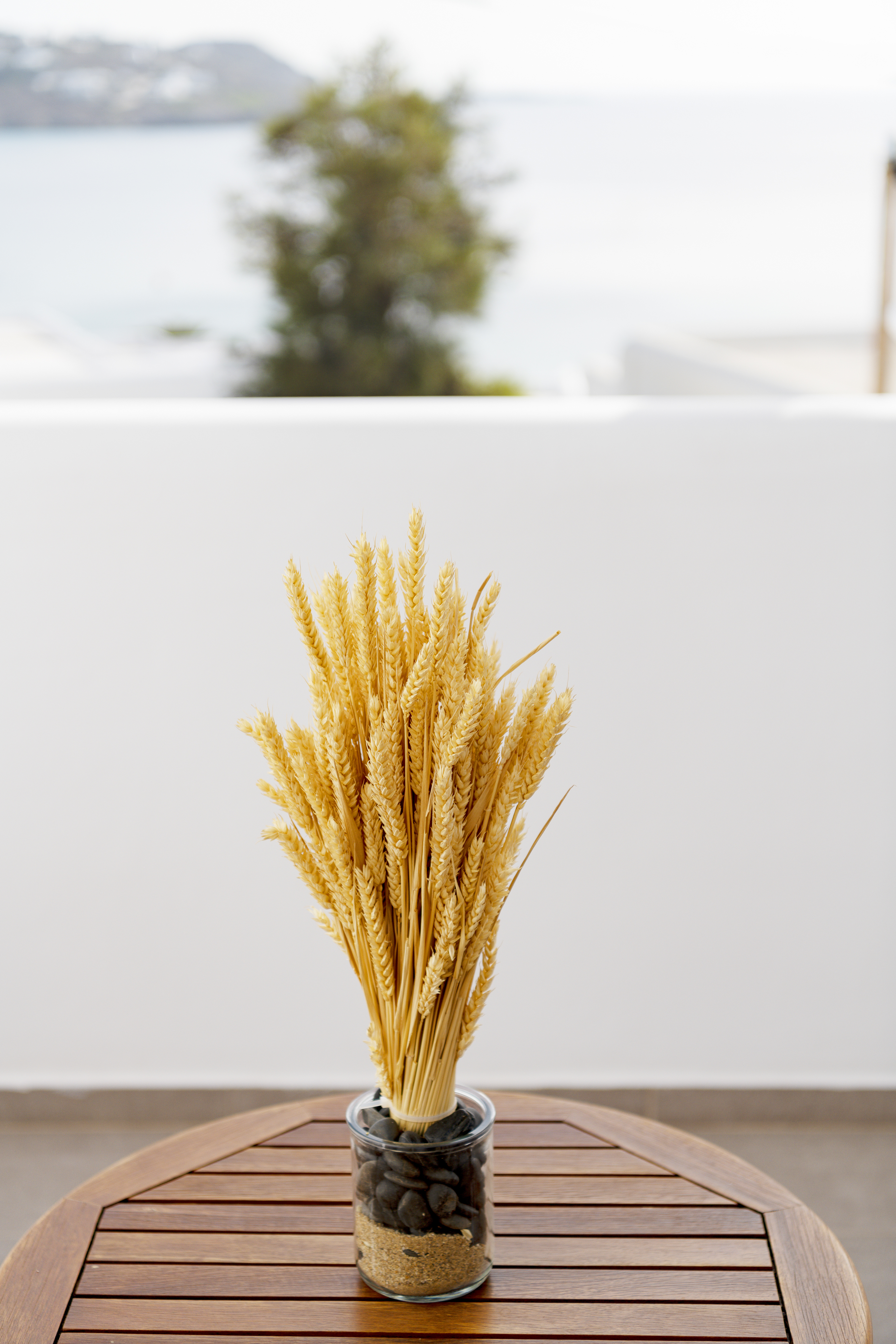 Junior Suite Sea View