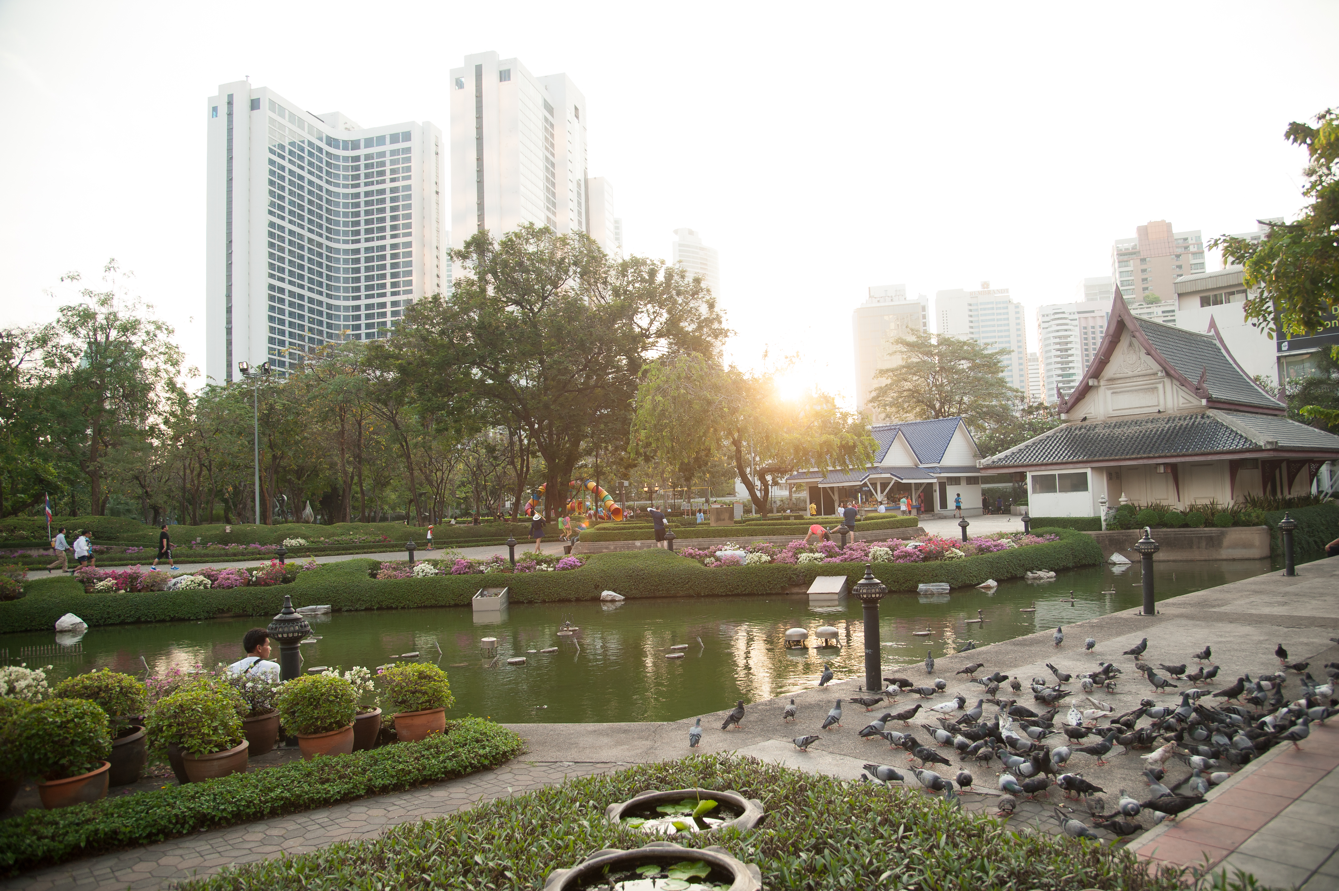 Sports and Entertainment