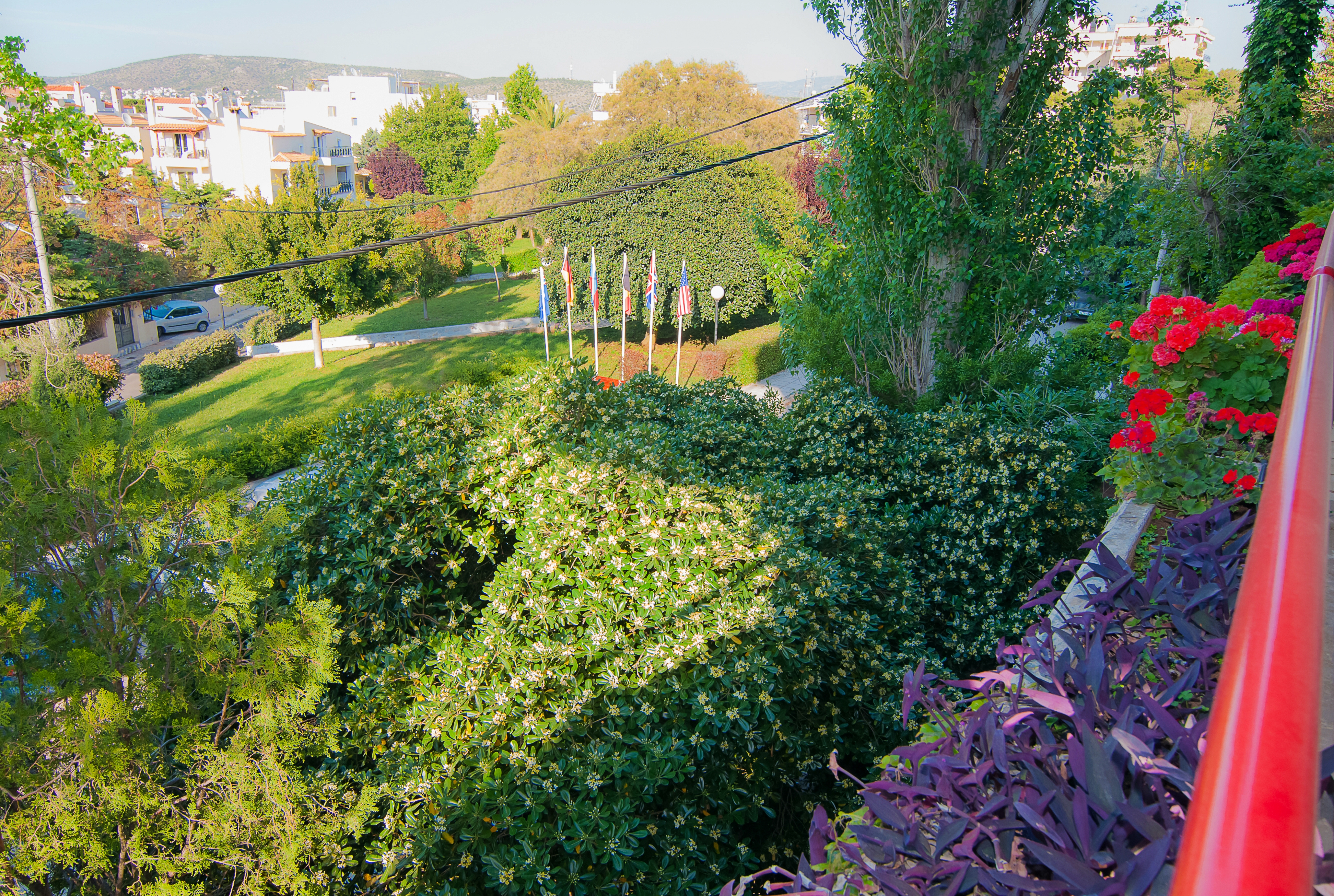 Family Room Standard