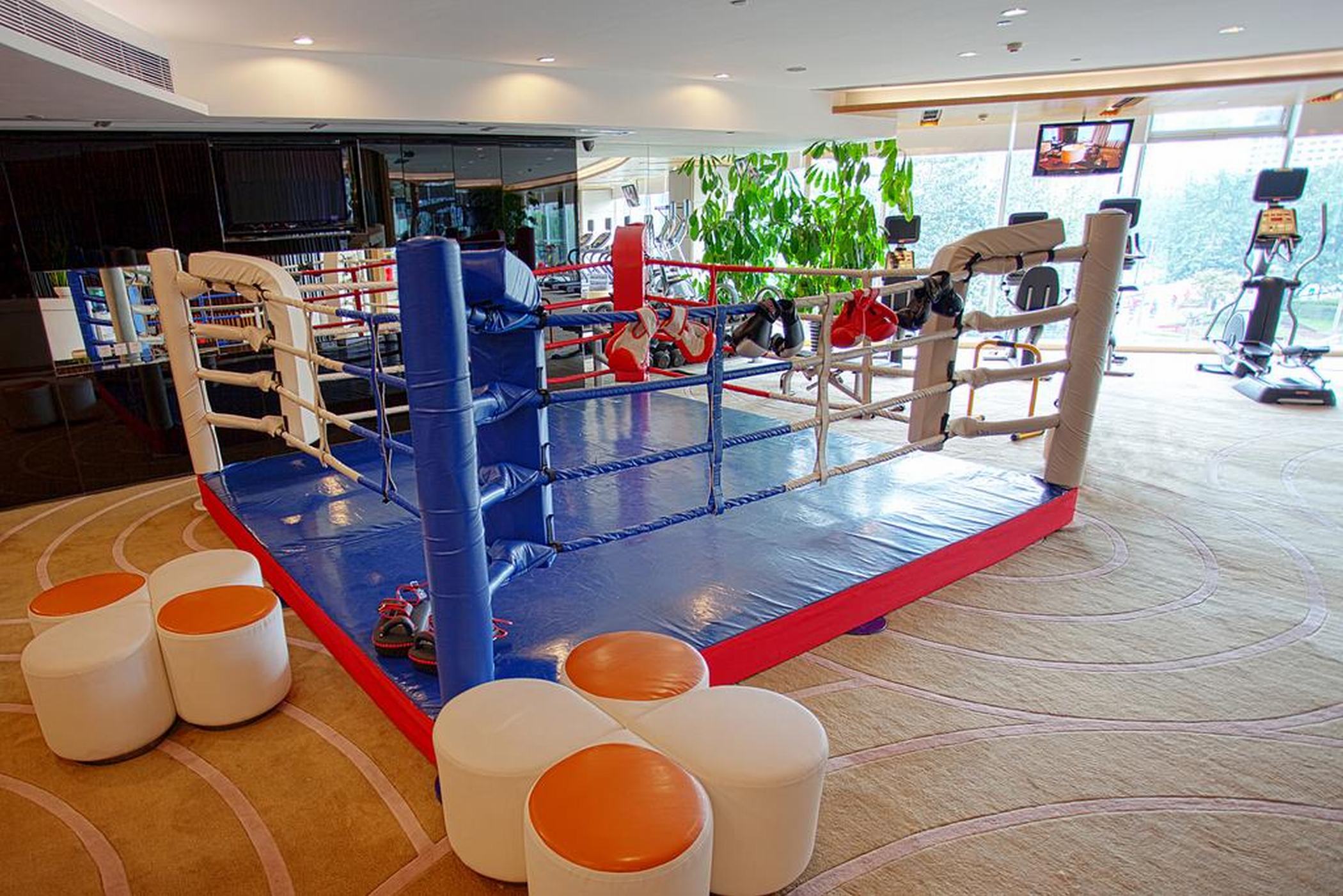 Sports and Entertainment