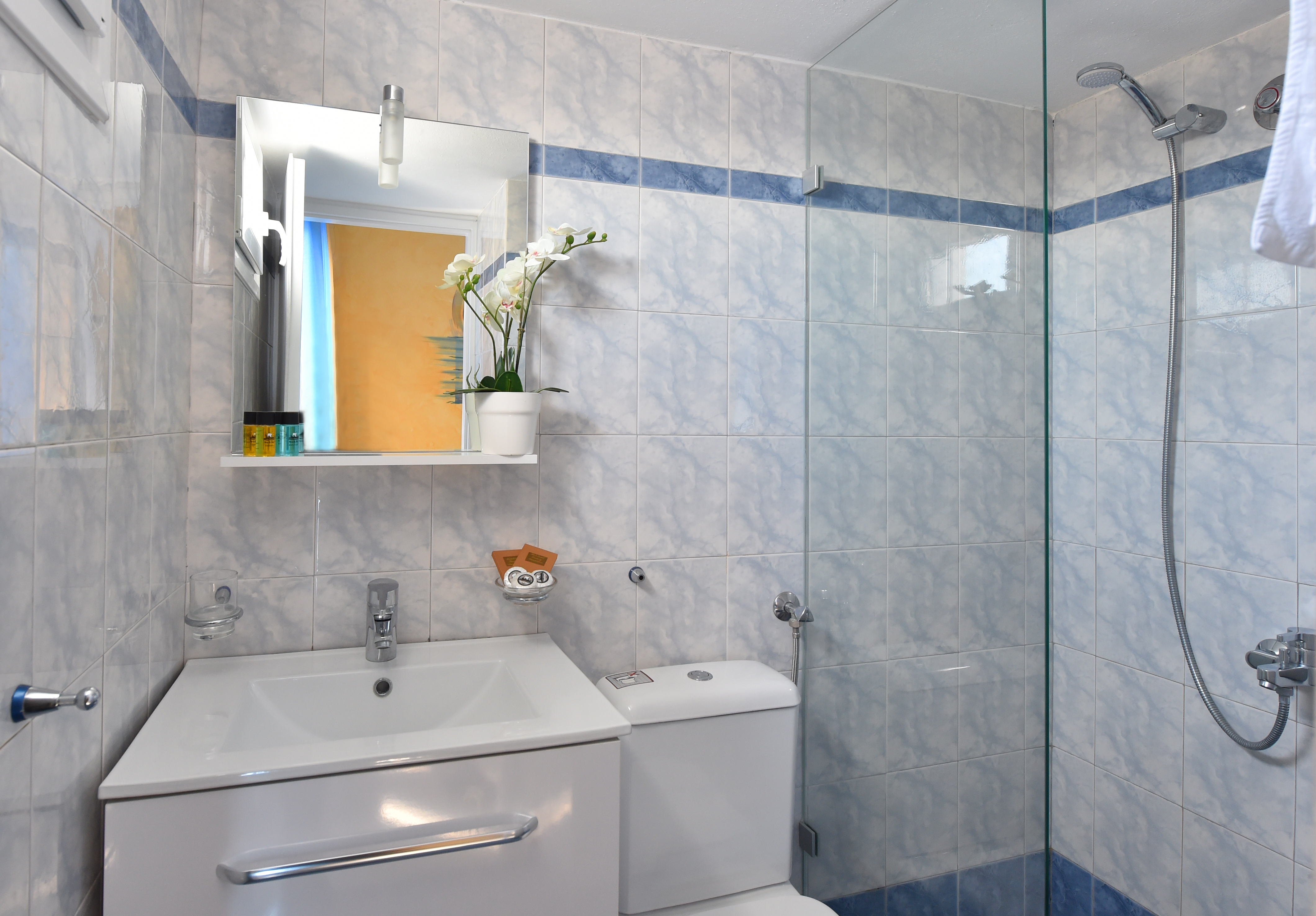 Apartment Capacity 6