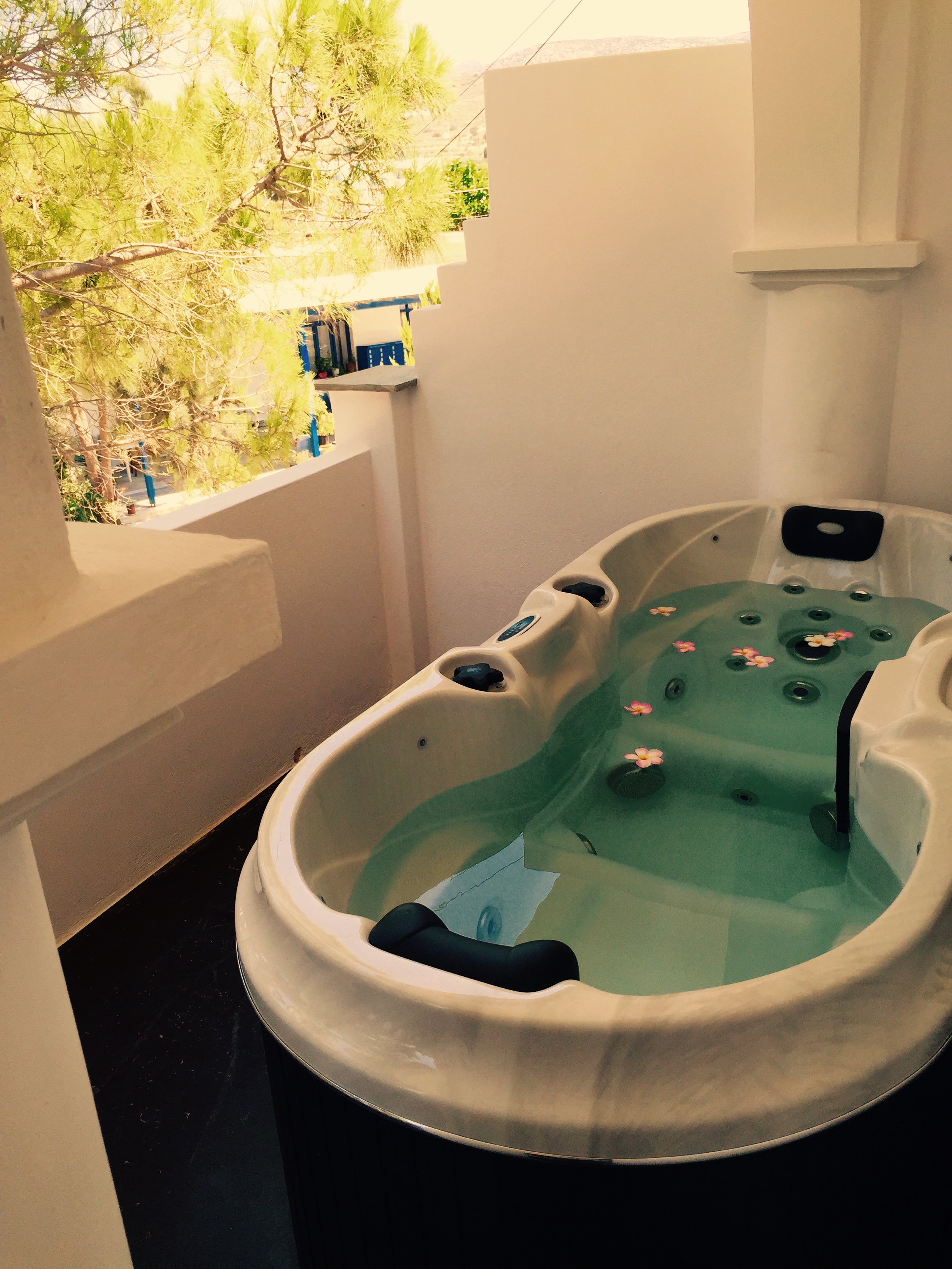 Double or Twin Superior