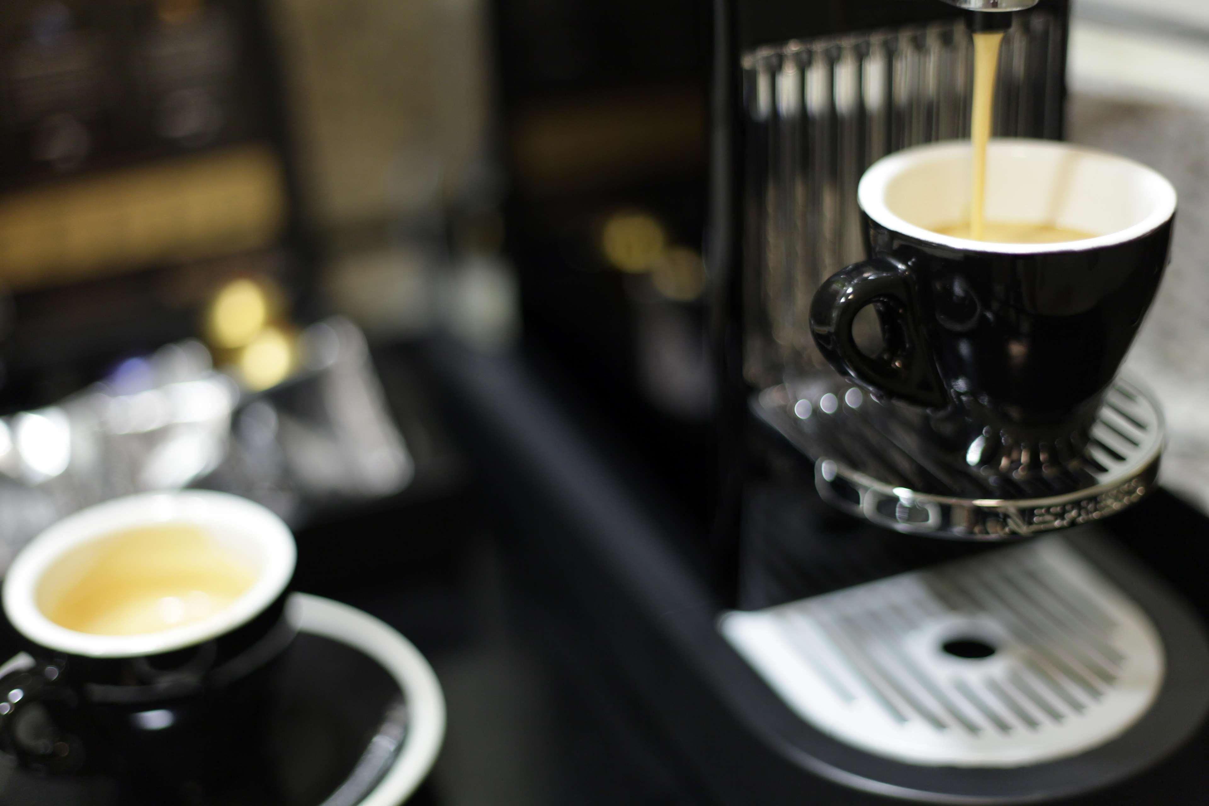 Studio Two Queen Beds