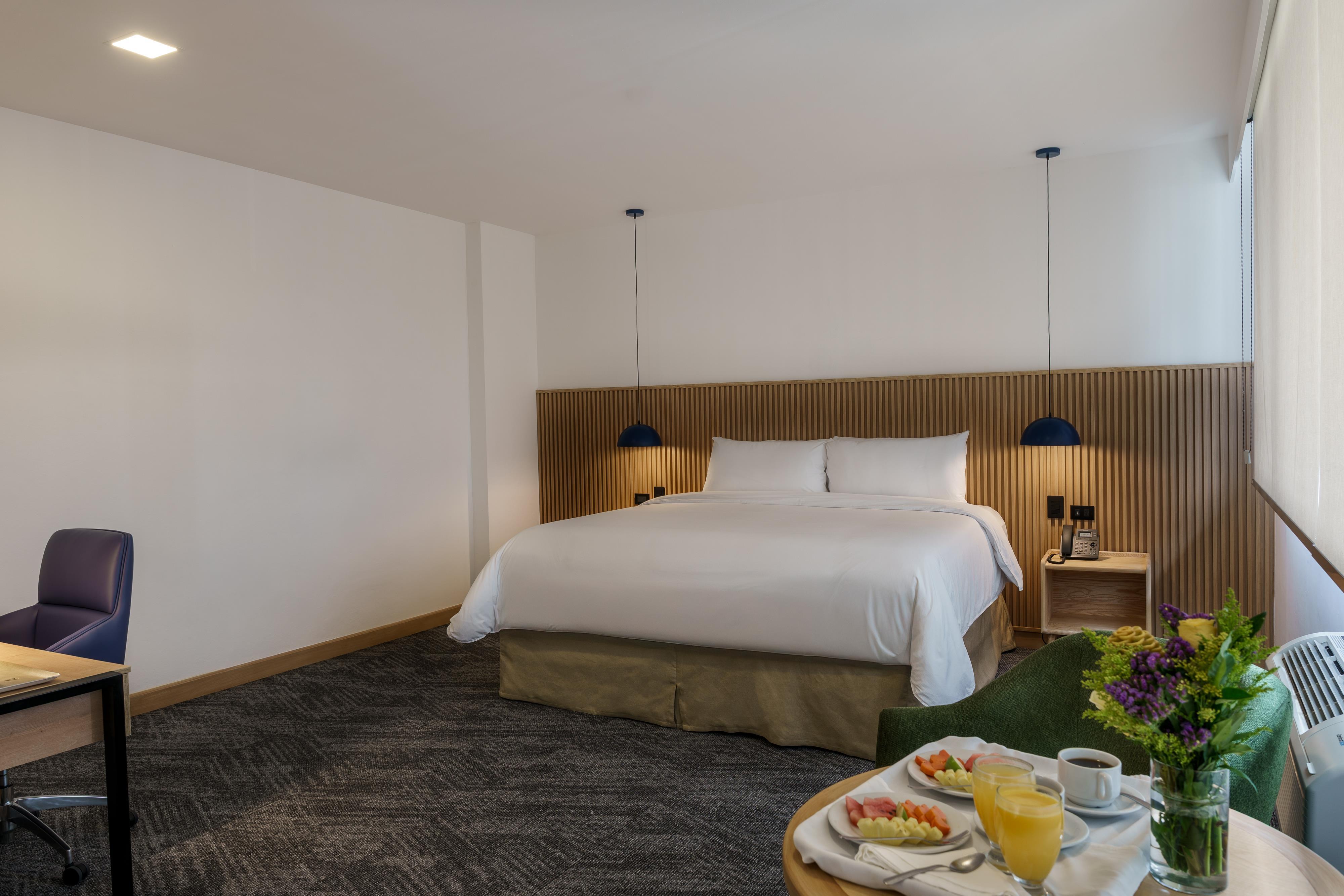 Suite King Bed Non Smoking