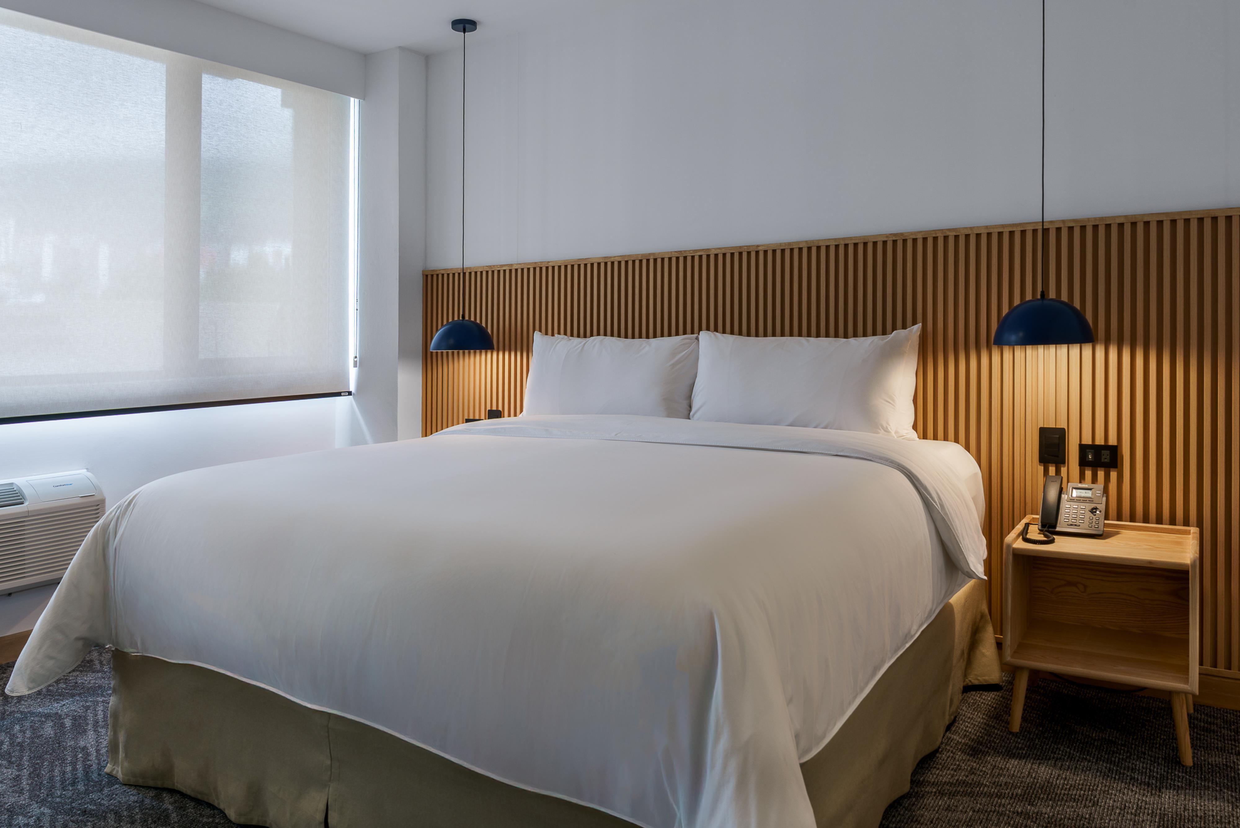 Double King Bed Non Smoking