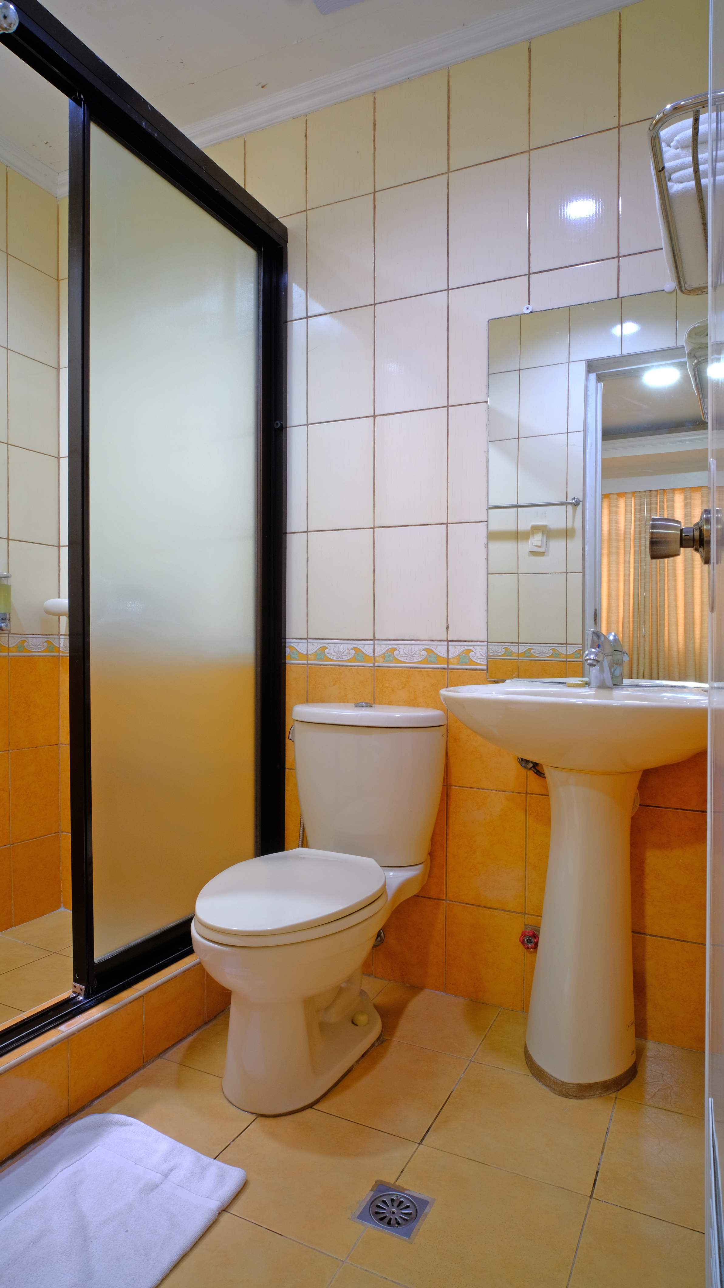 Double or Twin Standard