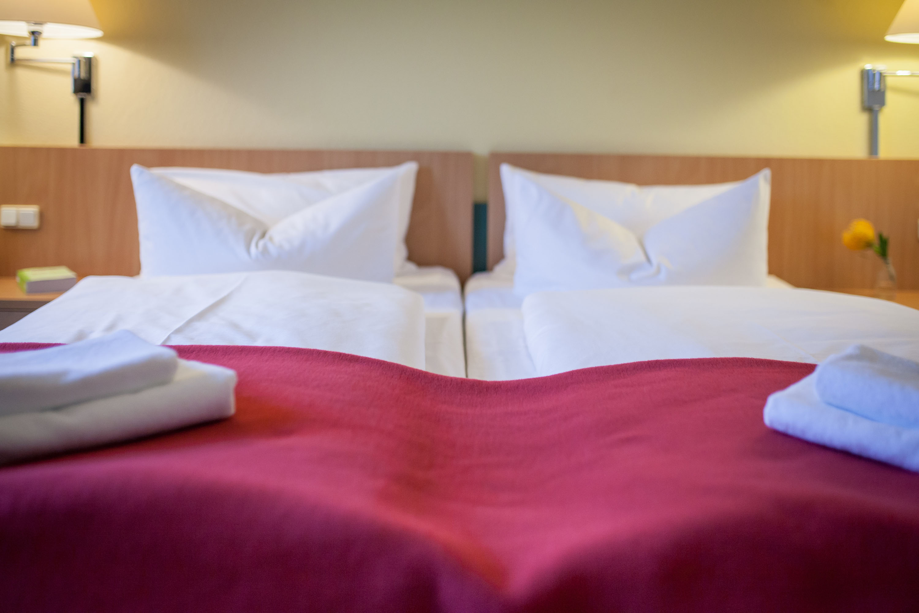 Double or Twin Standard