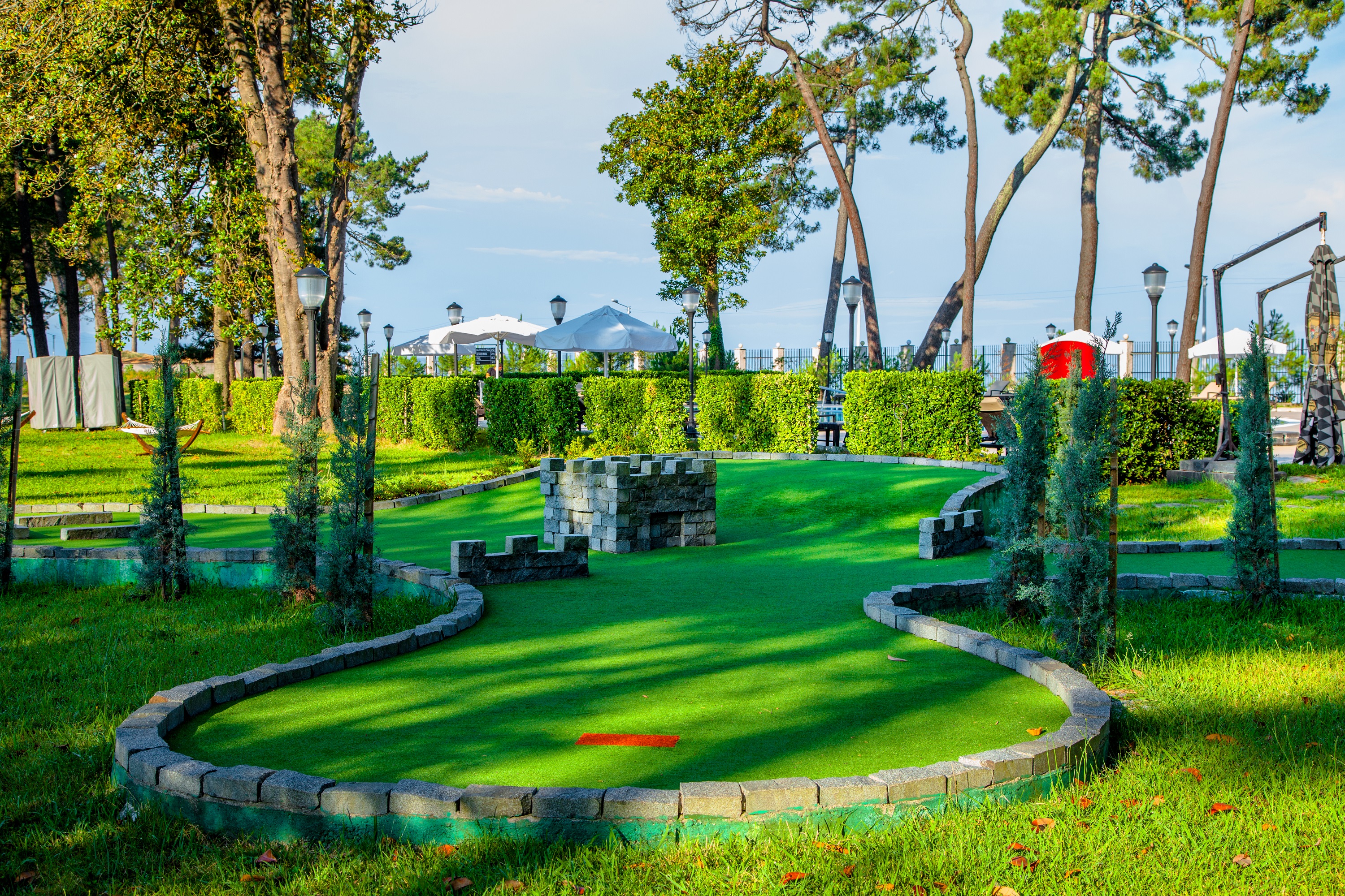 Sports and Entertainment