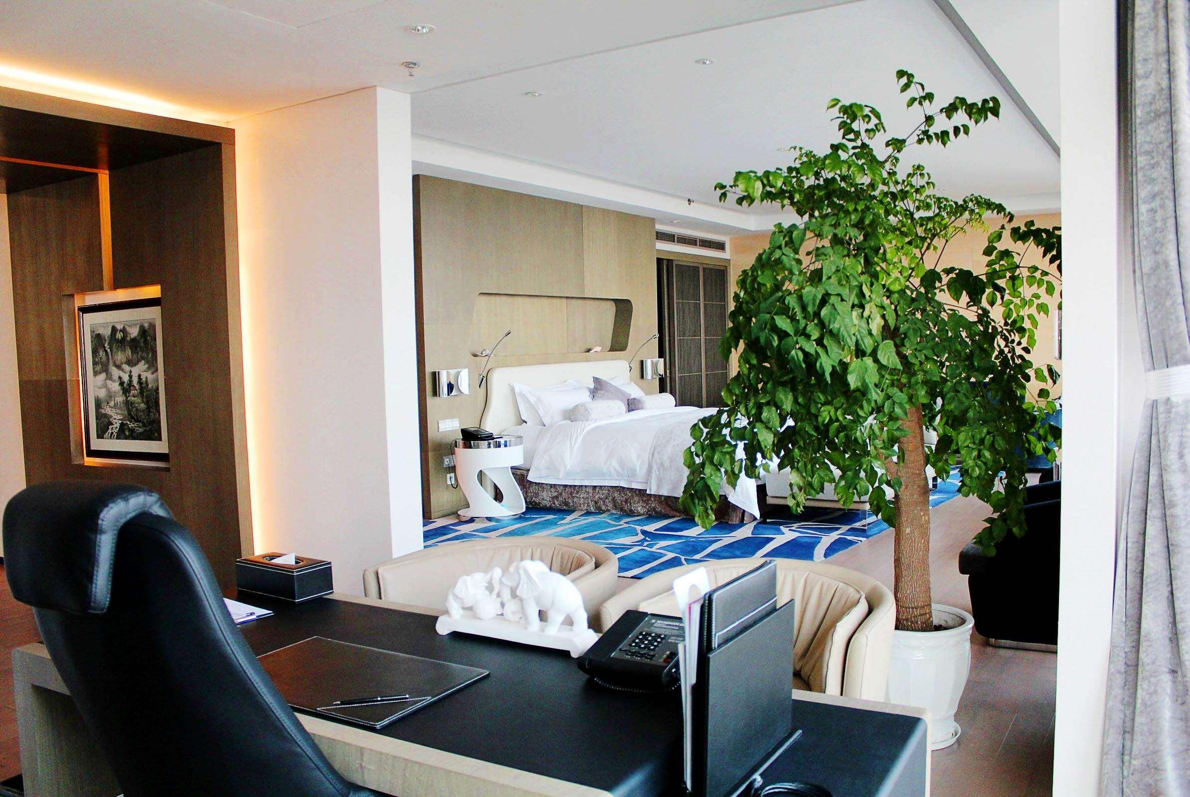 Suite Presidential